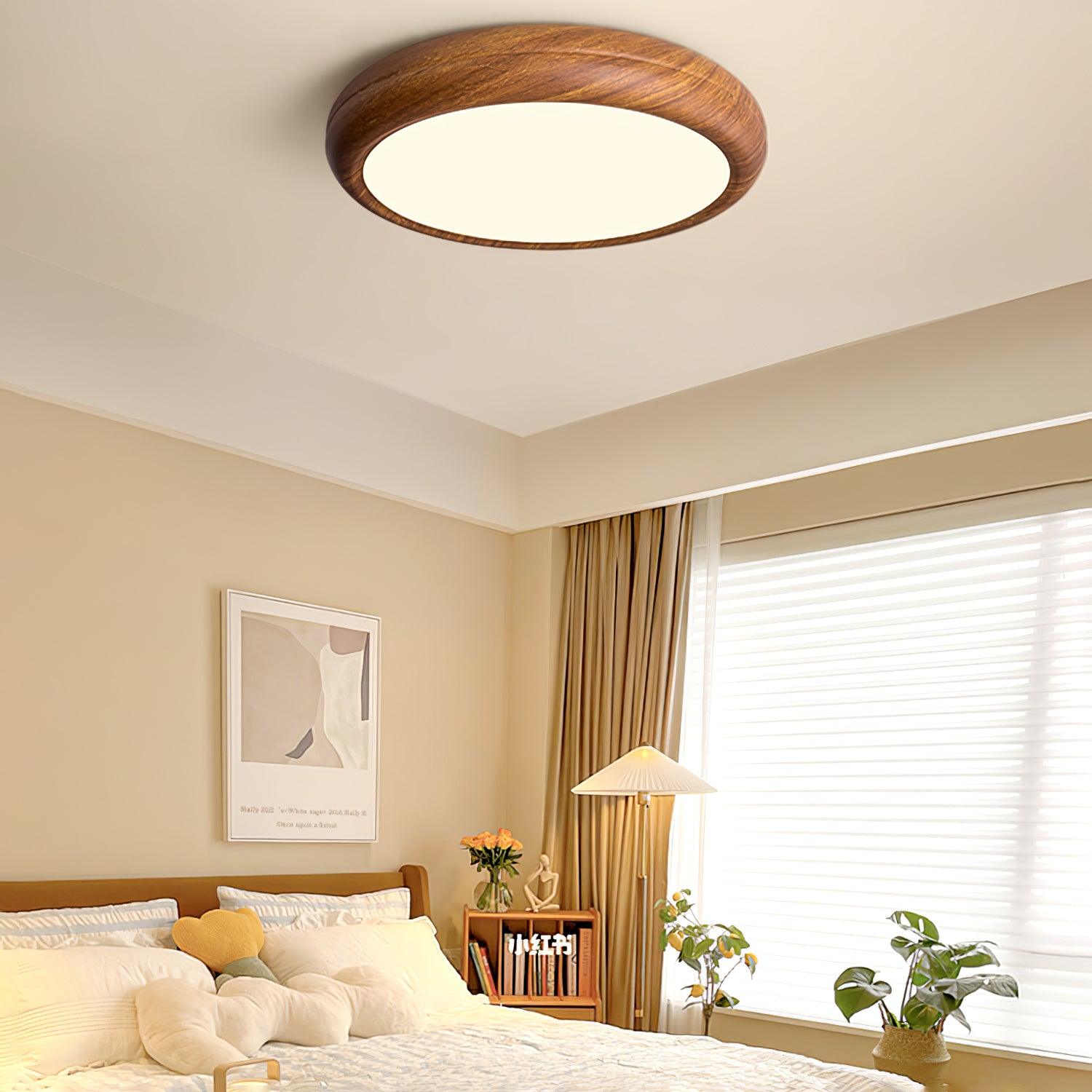 Delva Round Ceiling Light