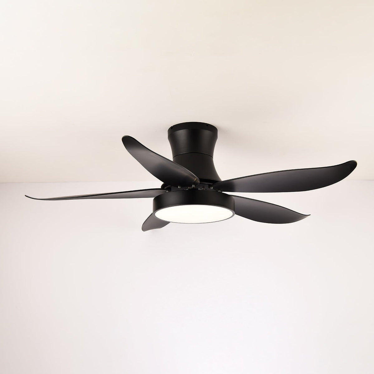 Avero Modern Ceiling Fan Light