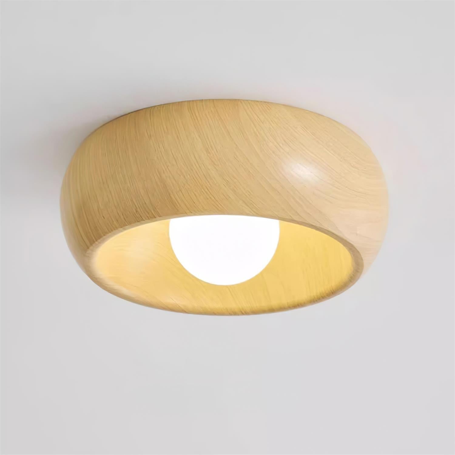 Sollynum Ceiling Light