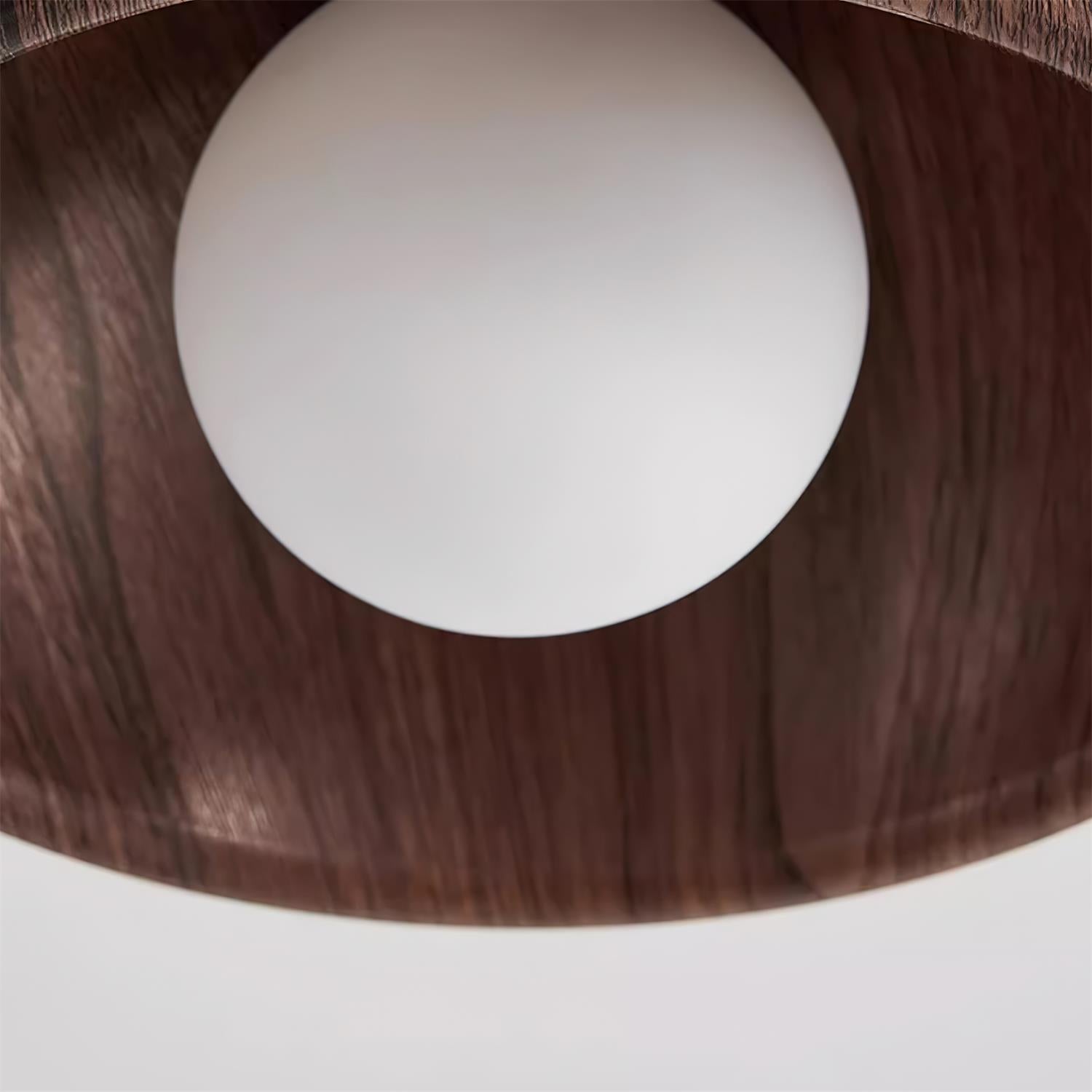 Sollynum Ceiling Light