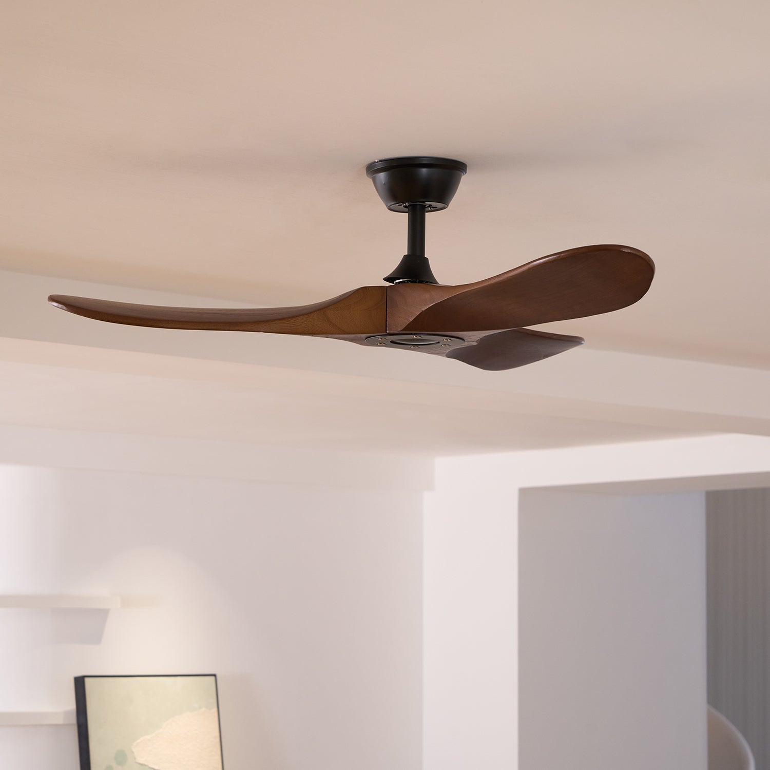 Borezo Ceiling Fan