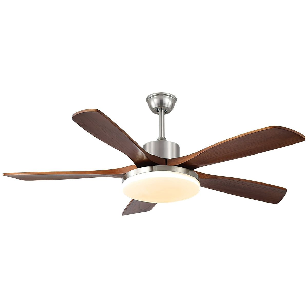 Renelum Ceiling Fan Light