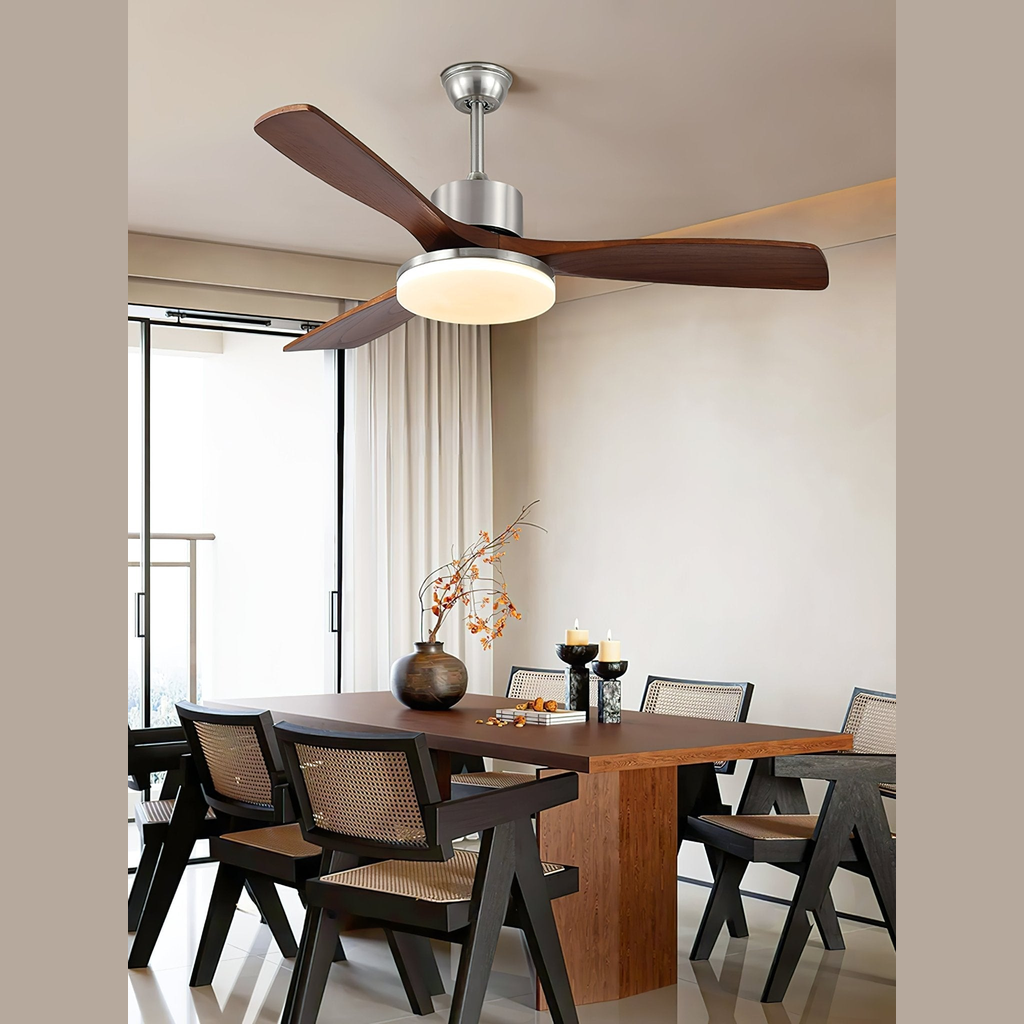Renelum Ceiling Fan Light