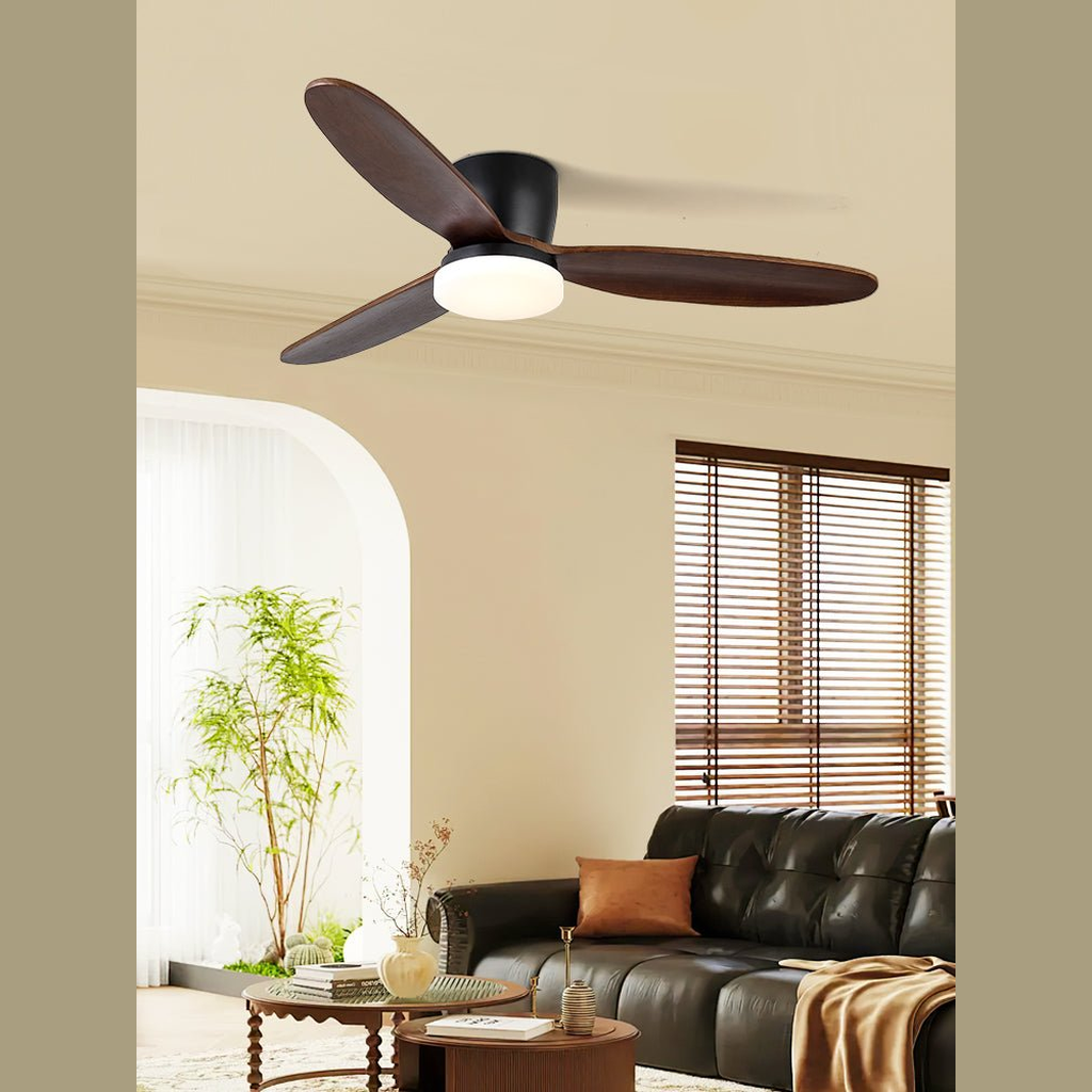 Evenlor Ceiling Fan Light