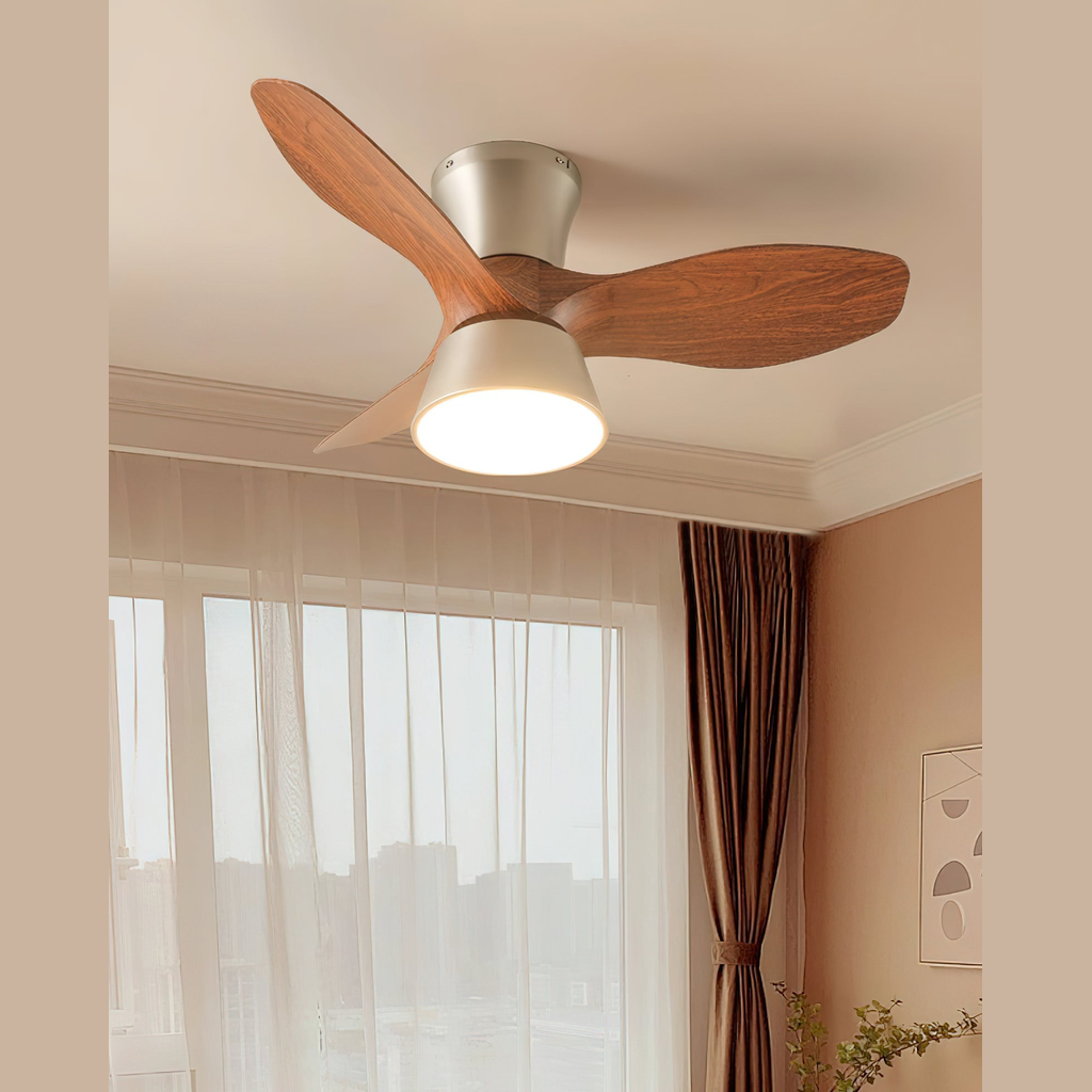 Hayvi Ceiling Fan Light