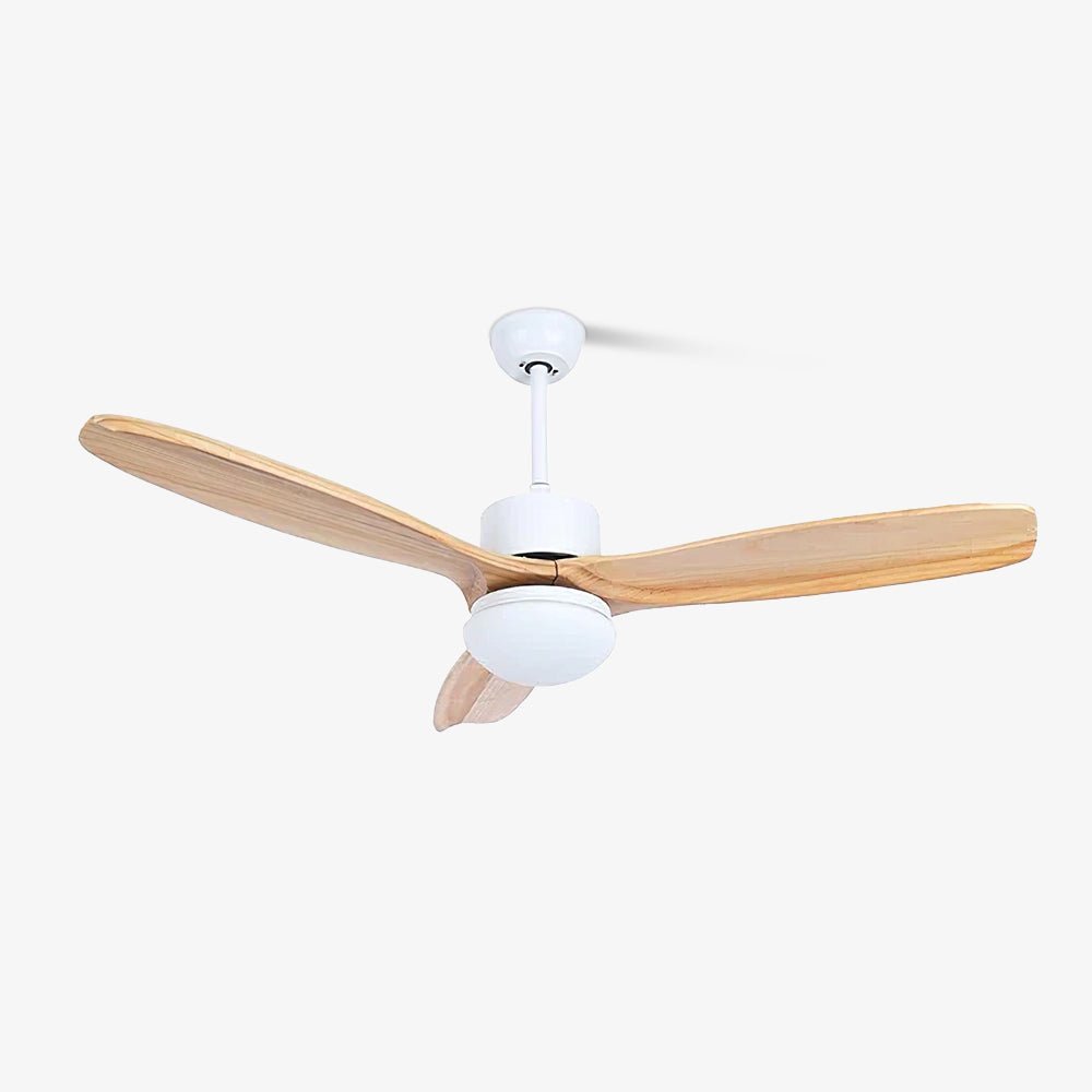 Zera Ceiling Fan Light