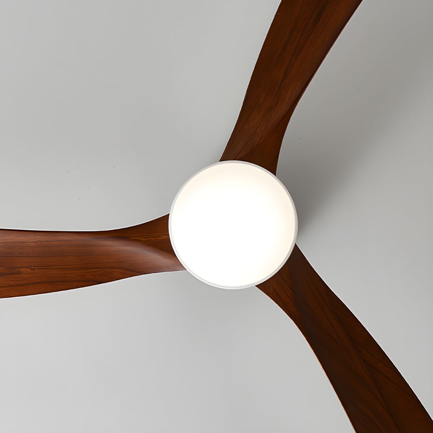 Solissa Ceiling Fan Light