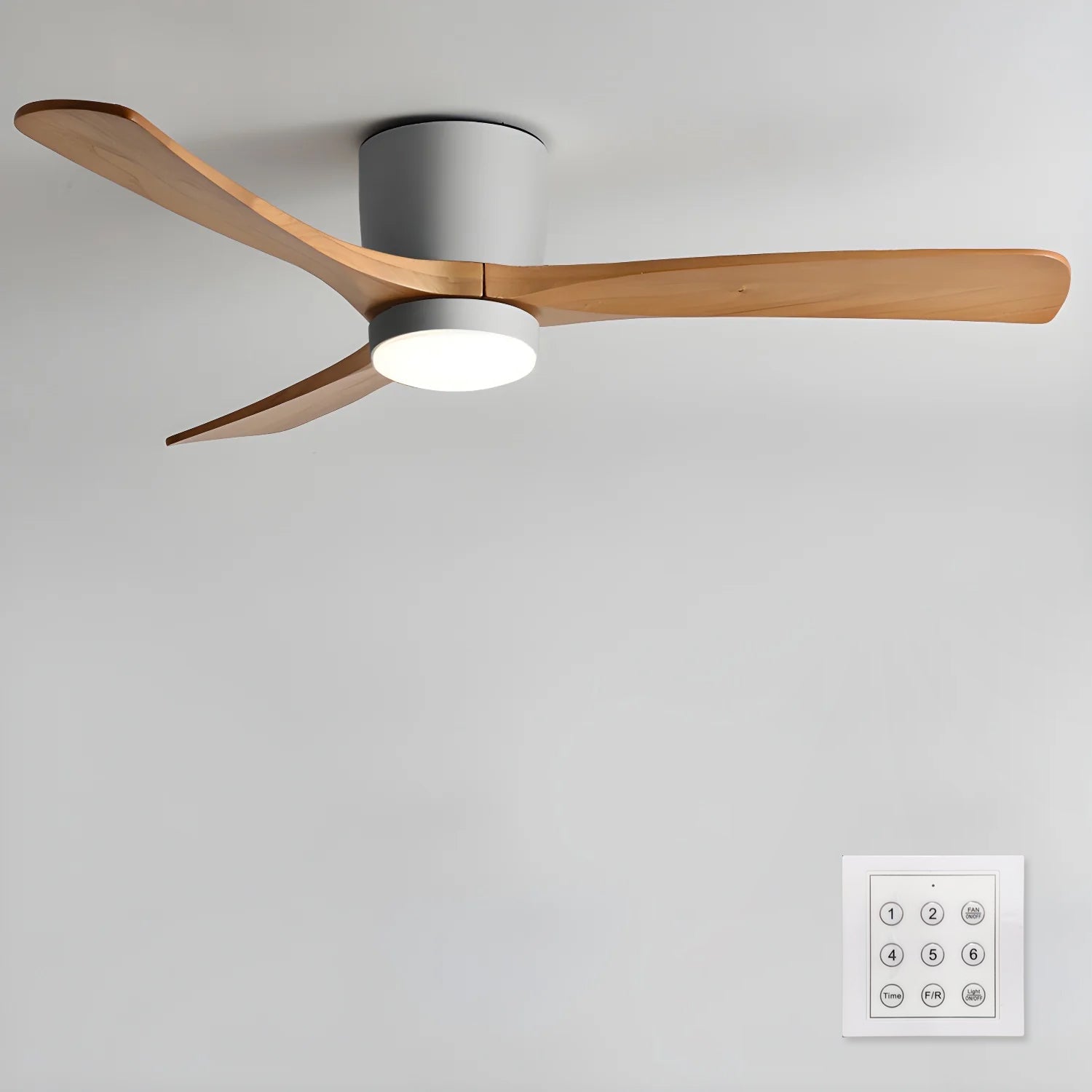 Solissa Ceiling Fan Light