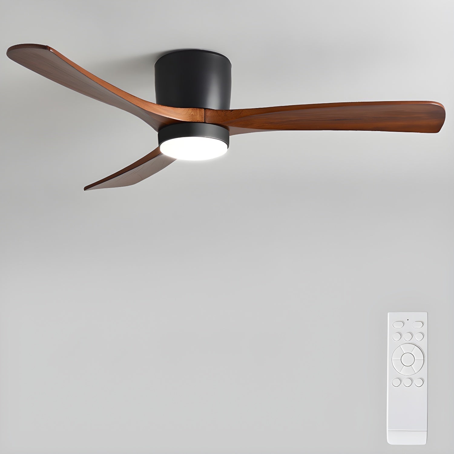 Solissa Ceiling Fan Light