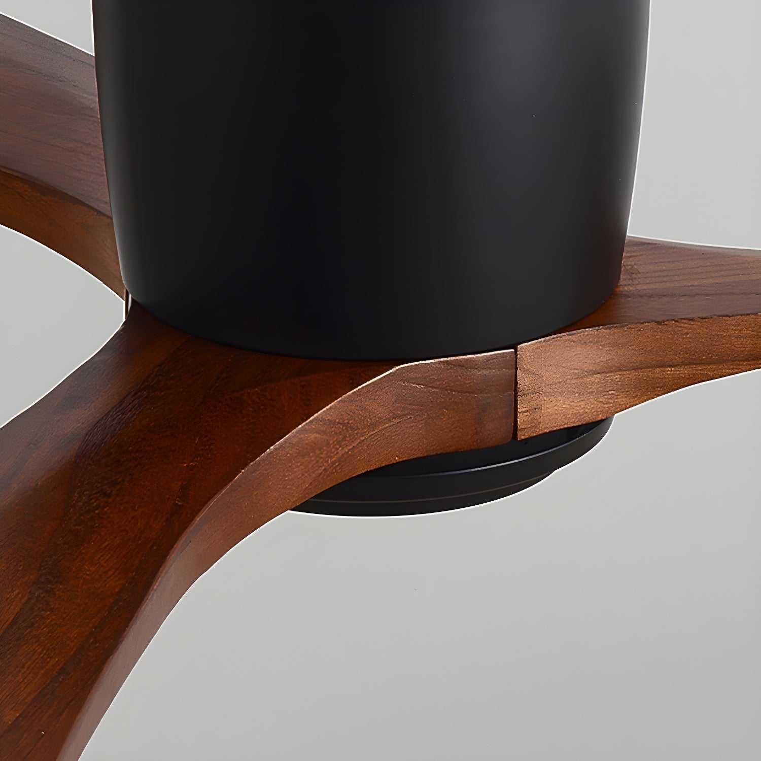 Solissa Ceiling Fan Light