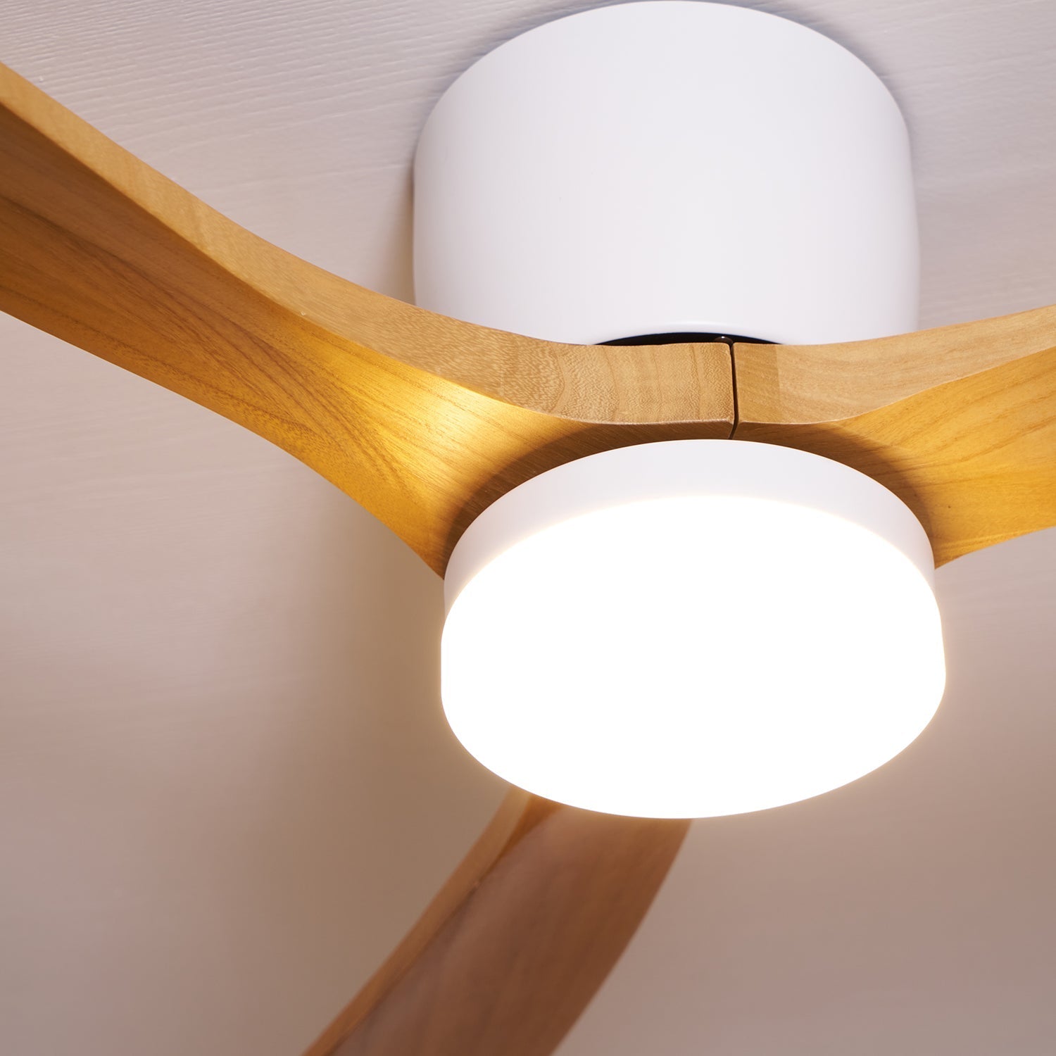 Solissa Ceiling Fan Light