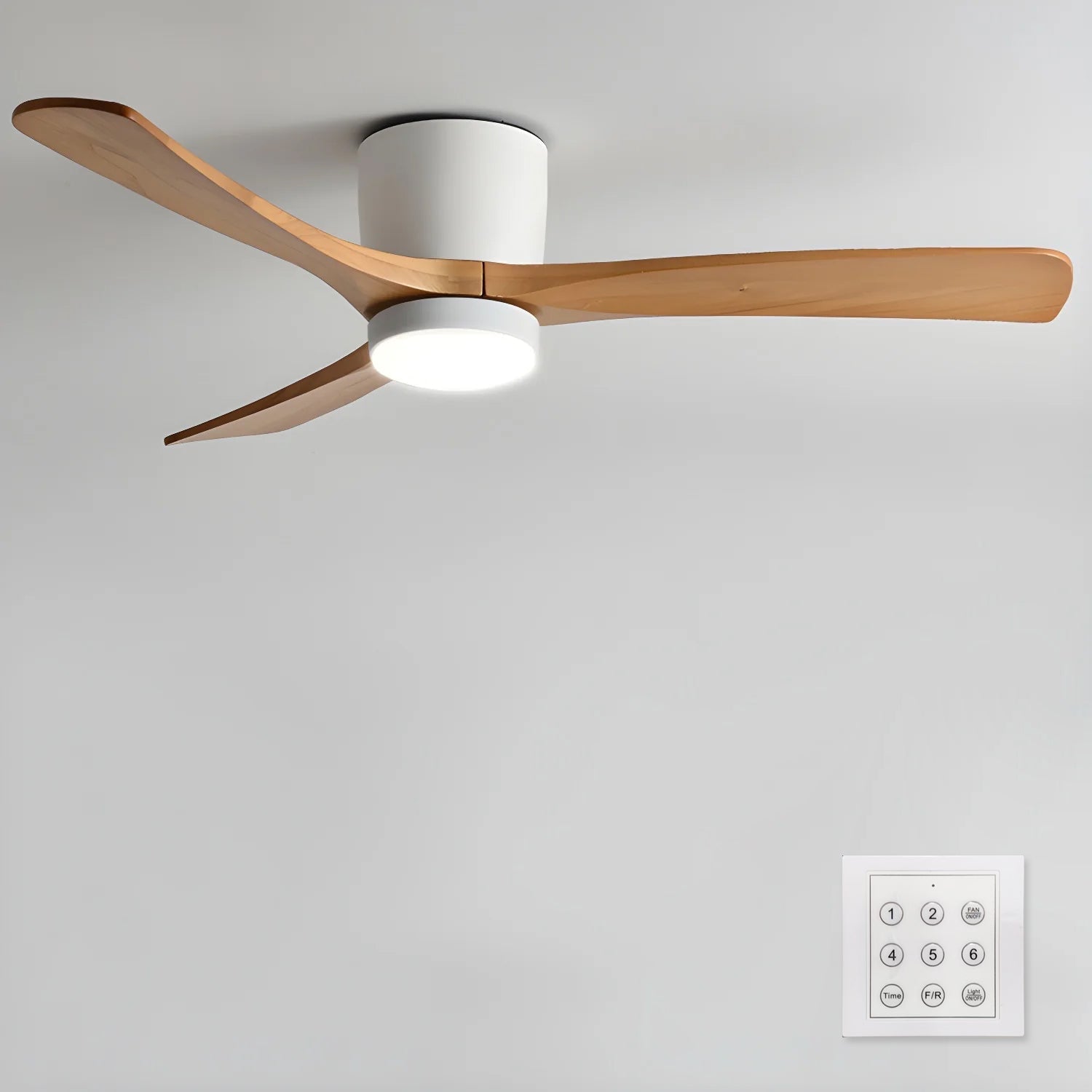 Solissa Ceiling Fan Light