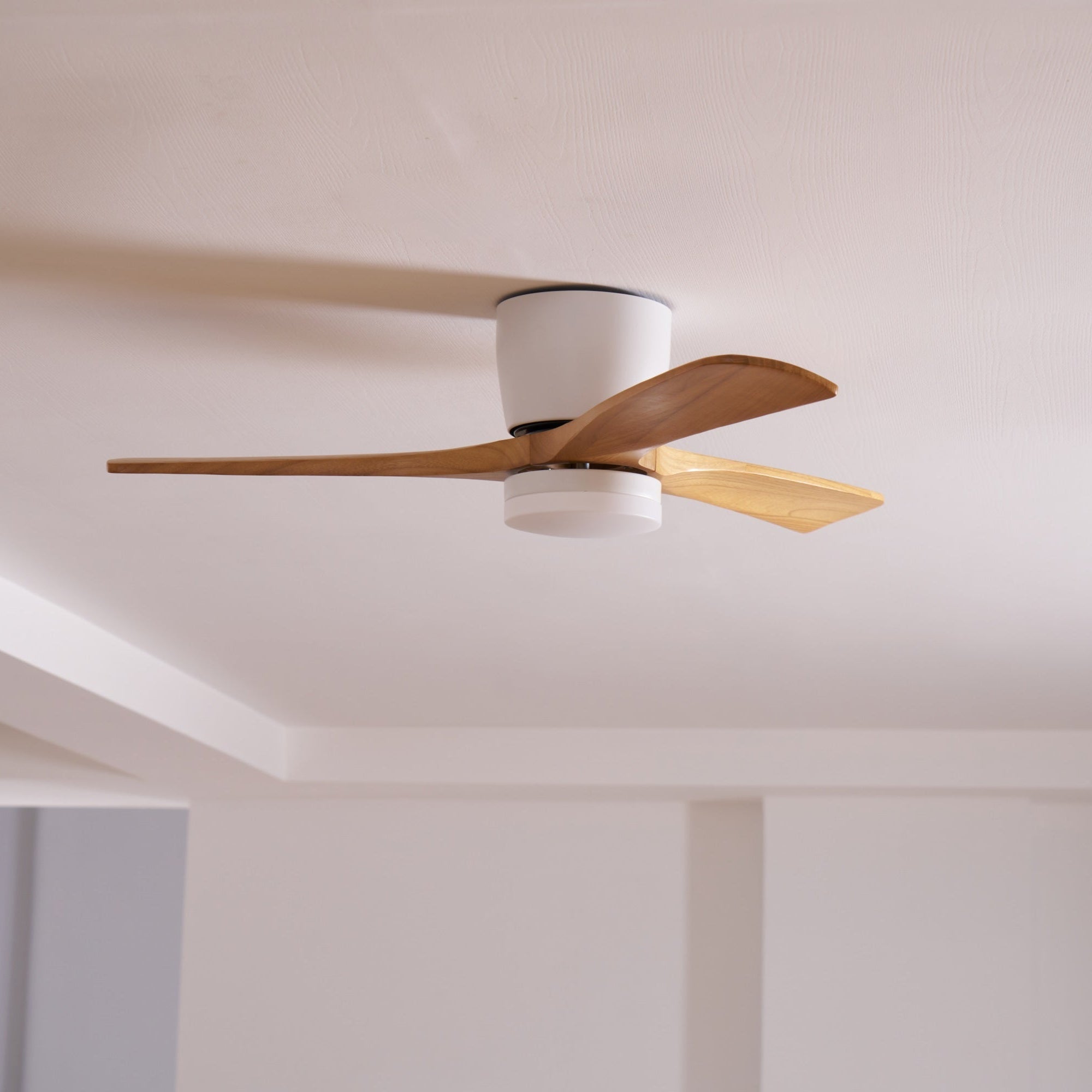 Solissa Ceiling Fan Light