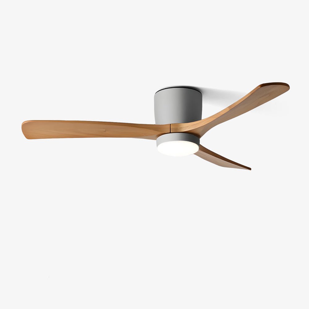 Solissa Ceiling Fan Light
