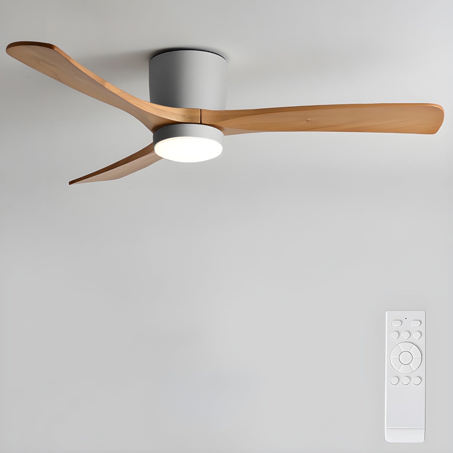 Solissa Ceiling Fan Light