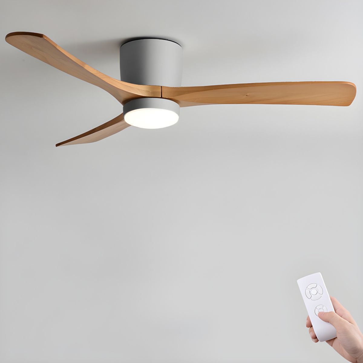 Solissa Ceiling Fan Light