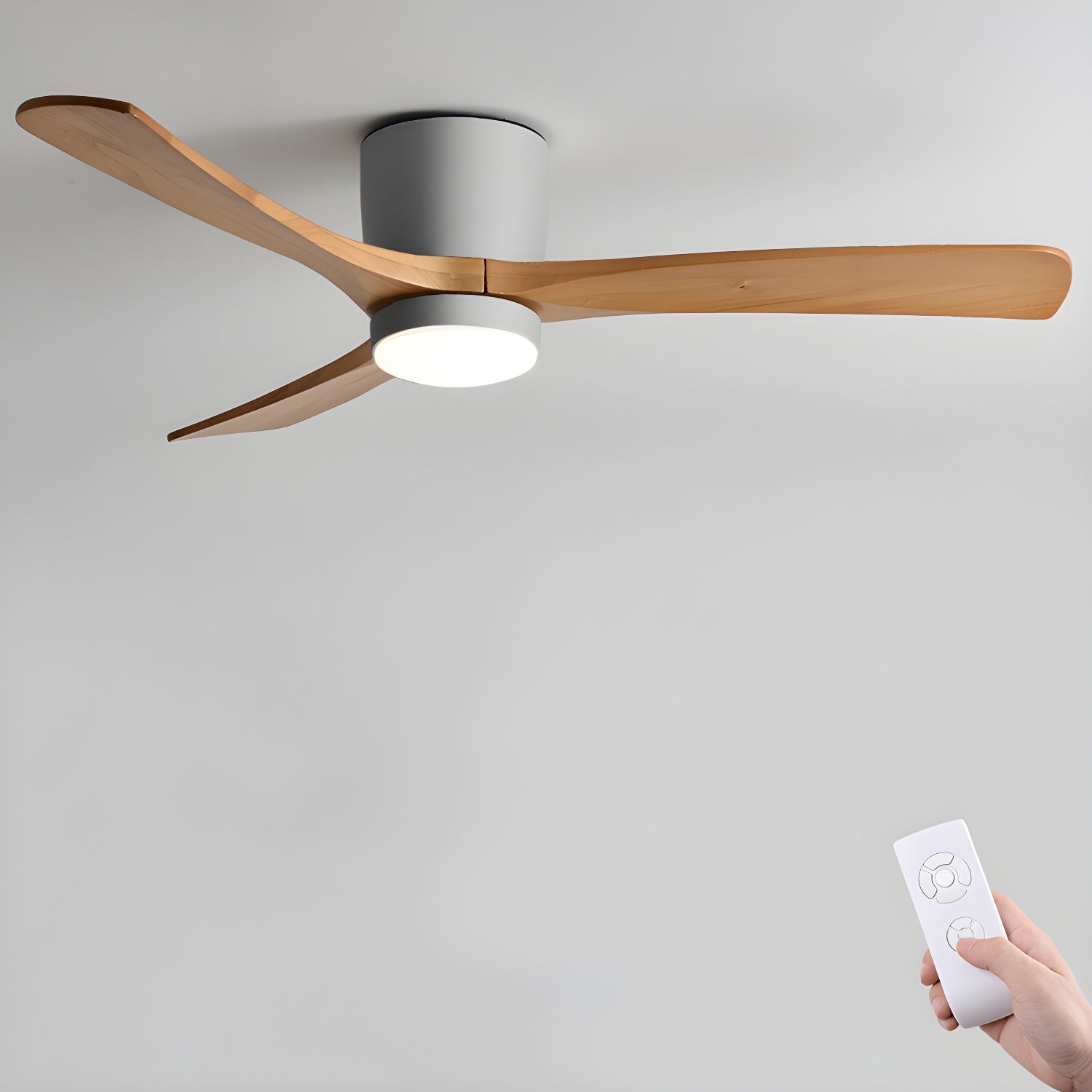 Solissa Ceiling Fan Light