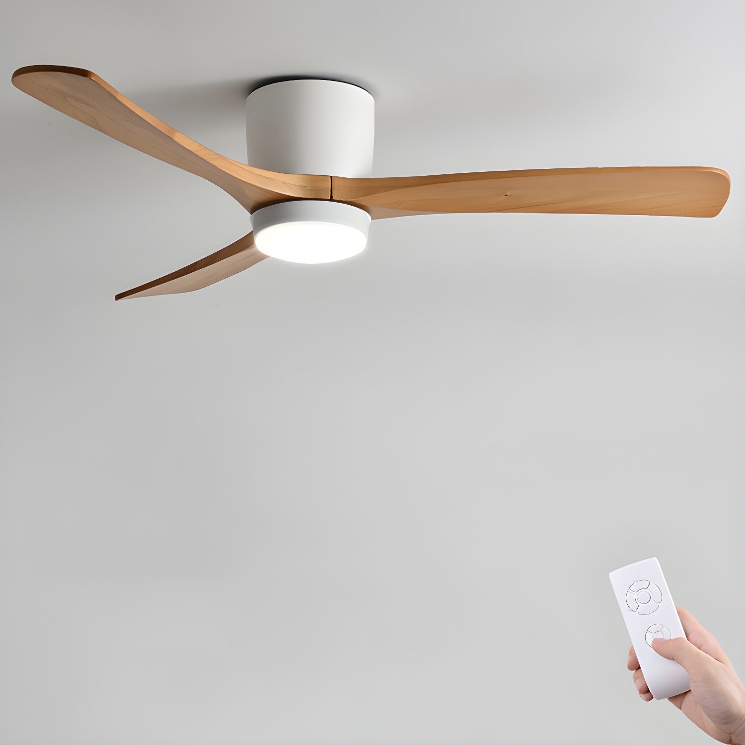 Solissa Ceiling Fan Light