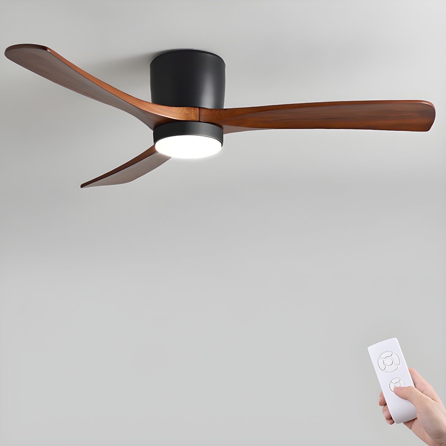 Solissa Ceiling Fan Light