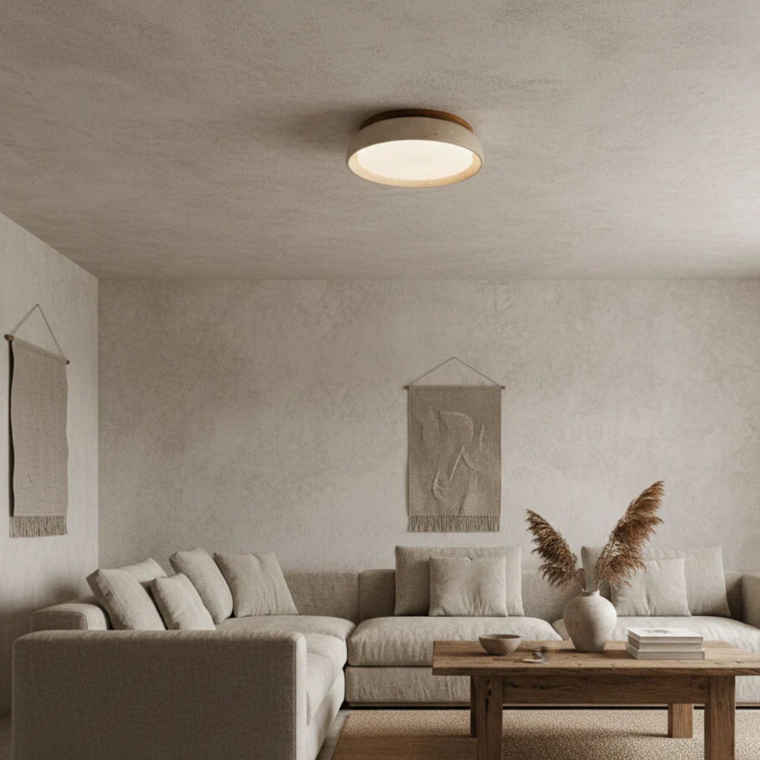 Demoreya Ceiling Light
