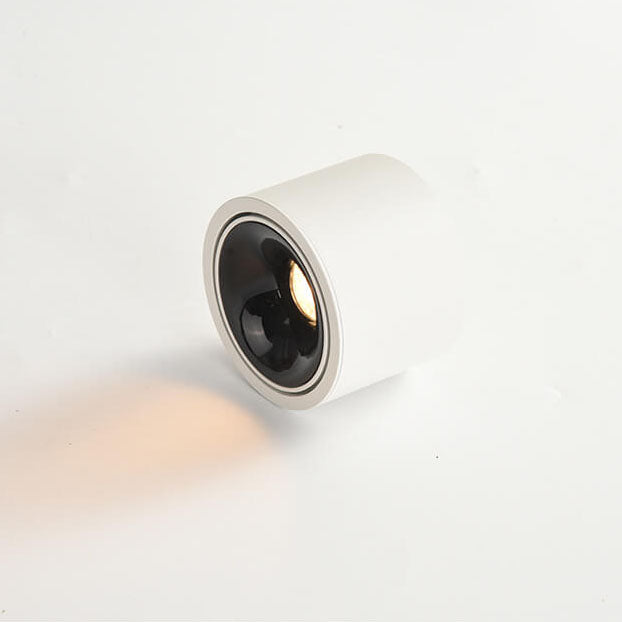Renma Round Ceiling Light