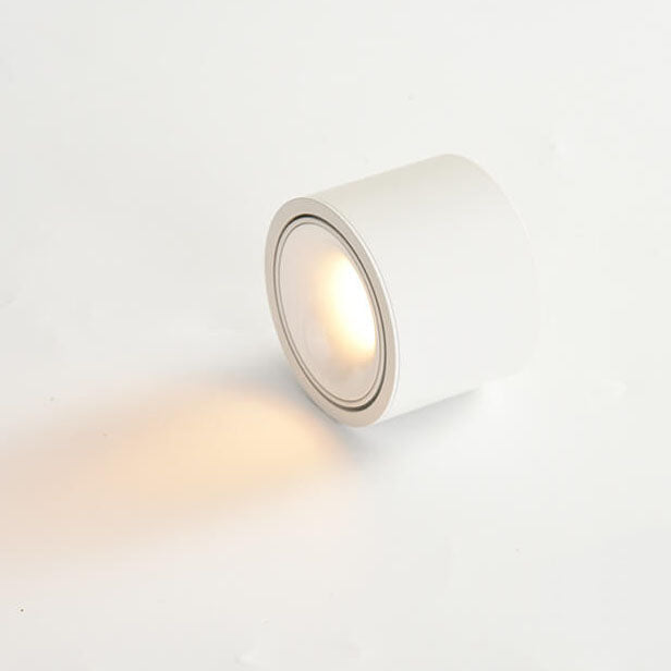 Renma Round Ceiling Light