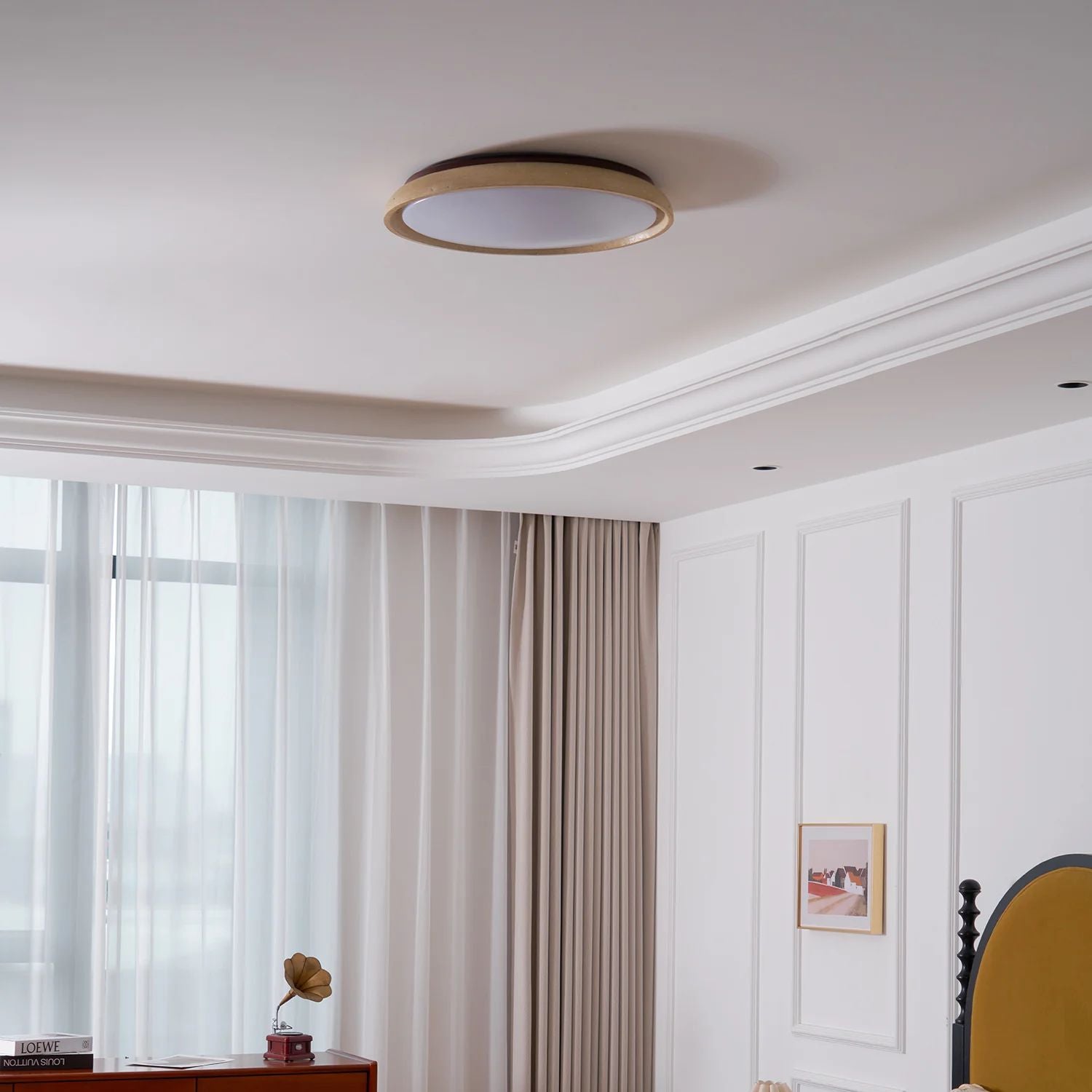 Demoreya Ceiling Light