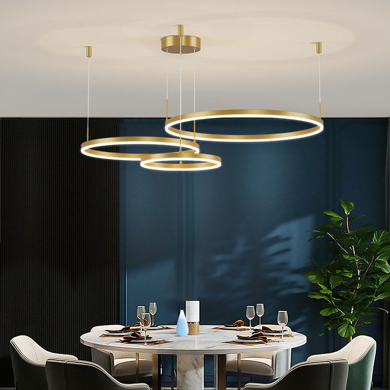 Wiloeyia Ring Pendant Light