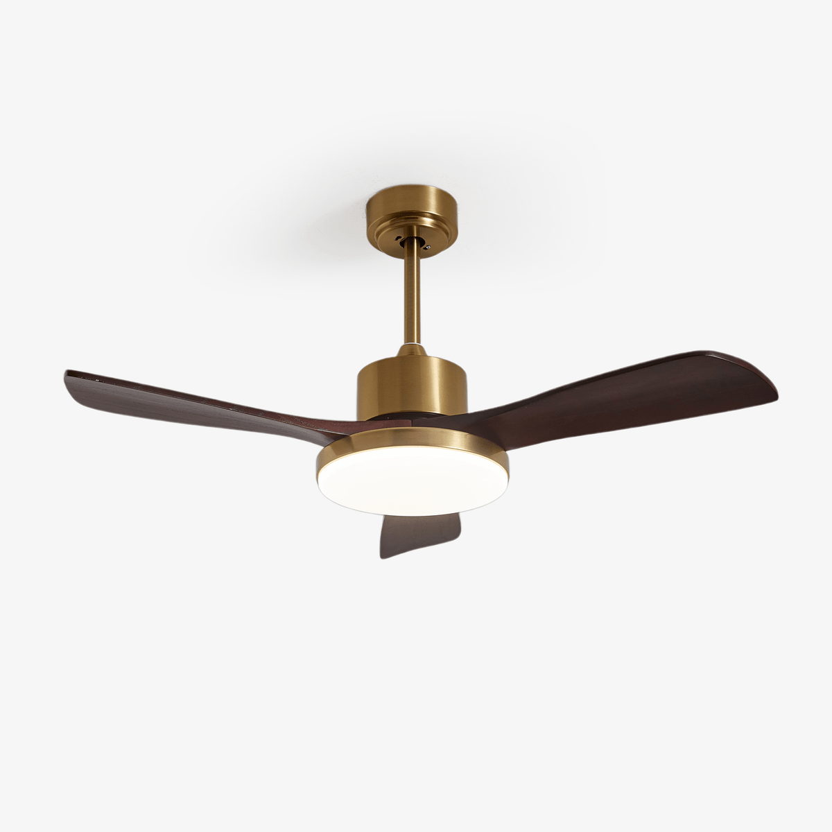Virova Ceiling Fan Light