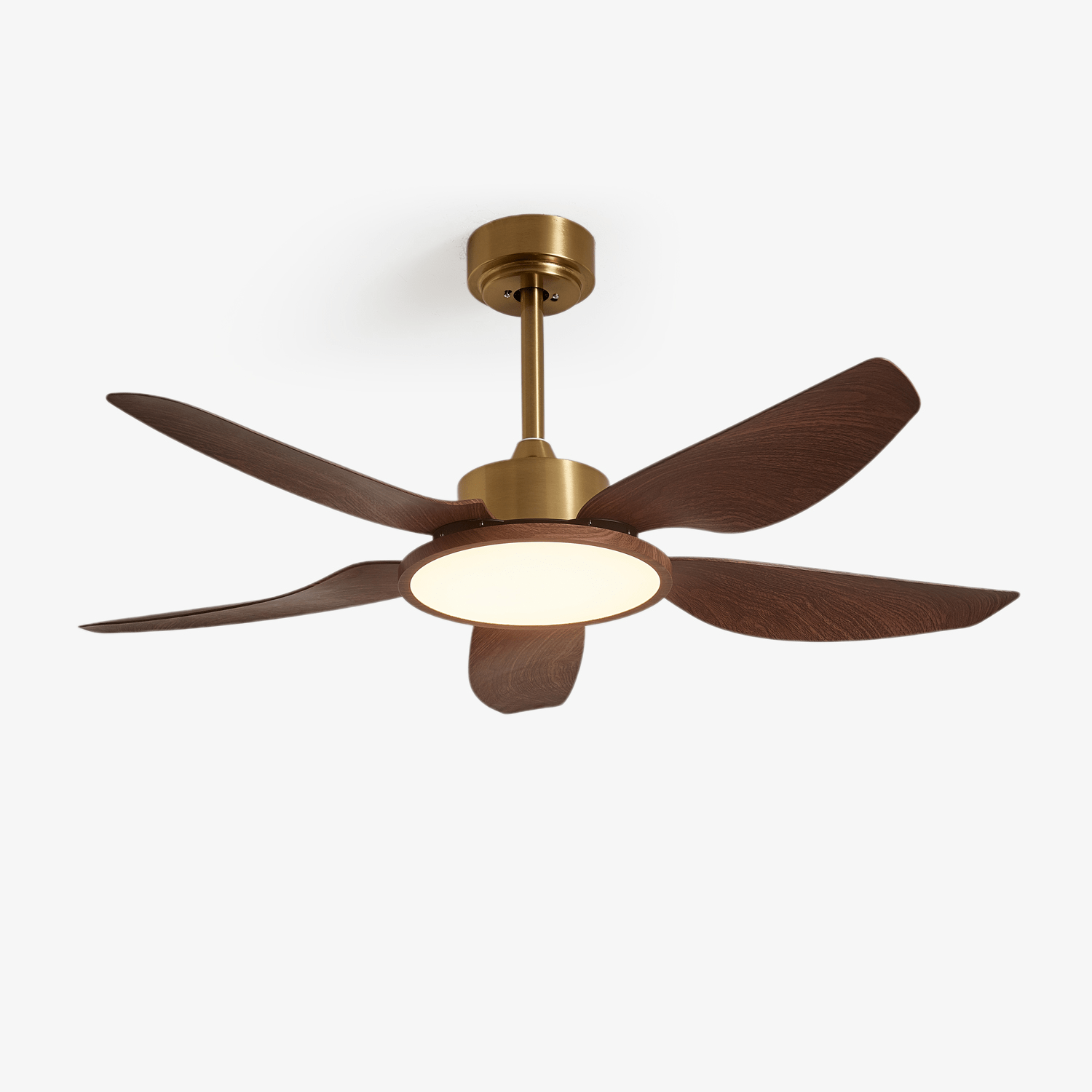 Tereelo Ceiling Fan Light