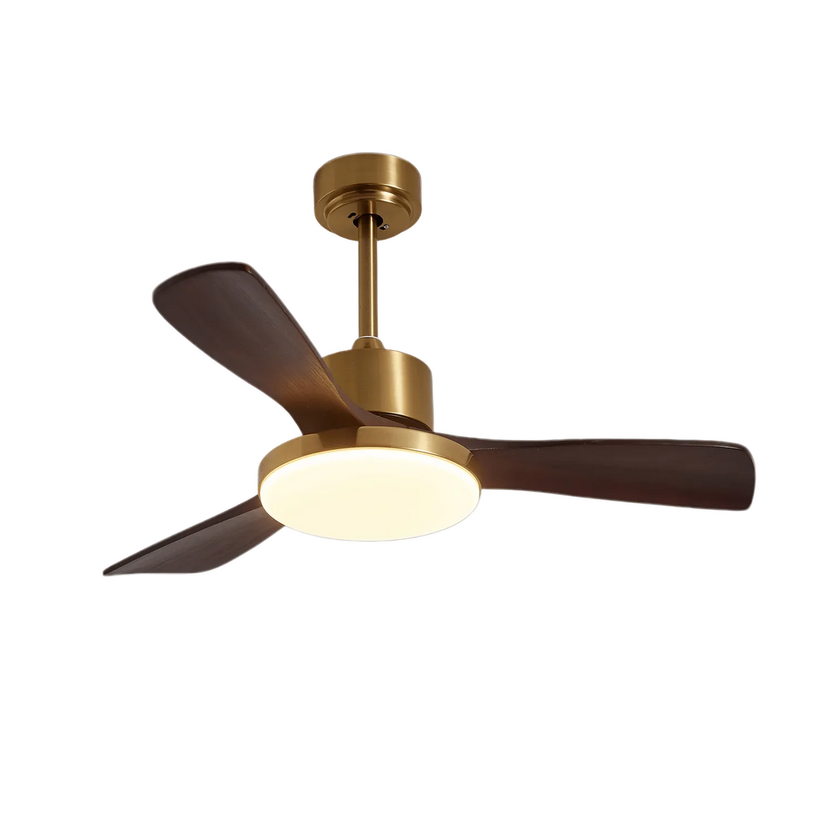 Virova Ceiling Fan Light