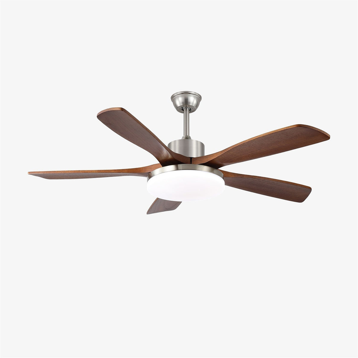 Renelum Ceiling Fan Light