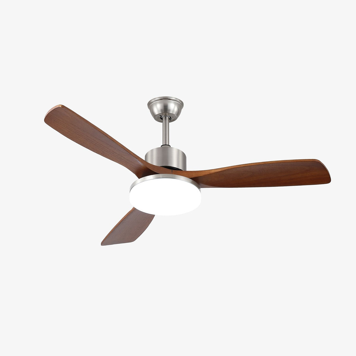 Renelum Ceiling Fan Light