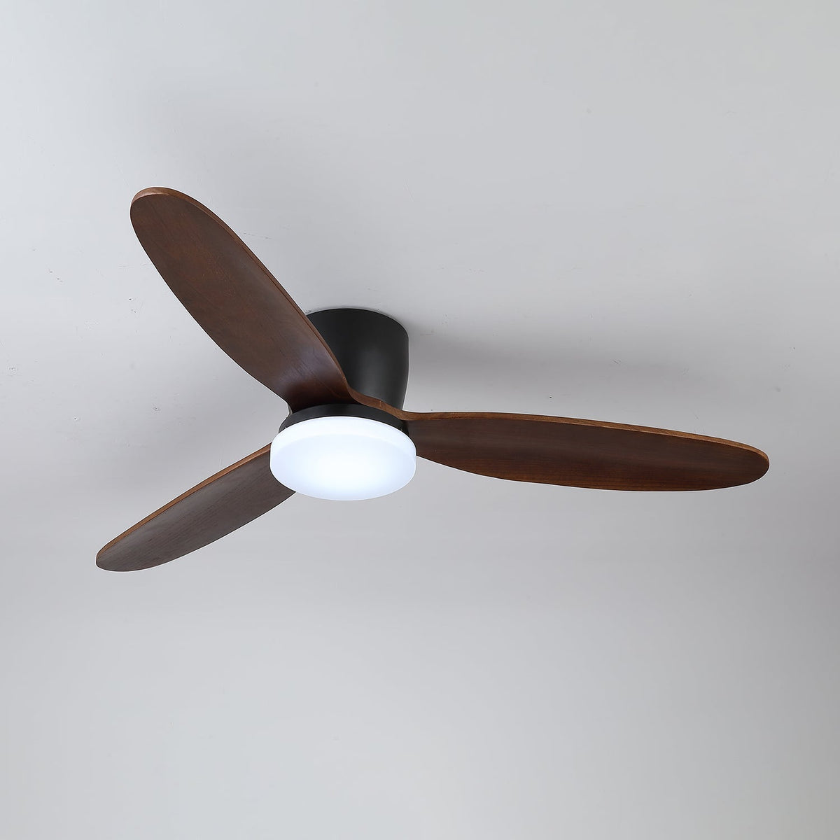 Evenlor Ceiling Fan Light