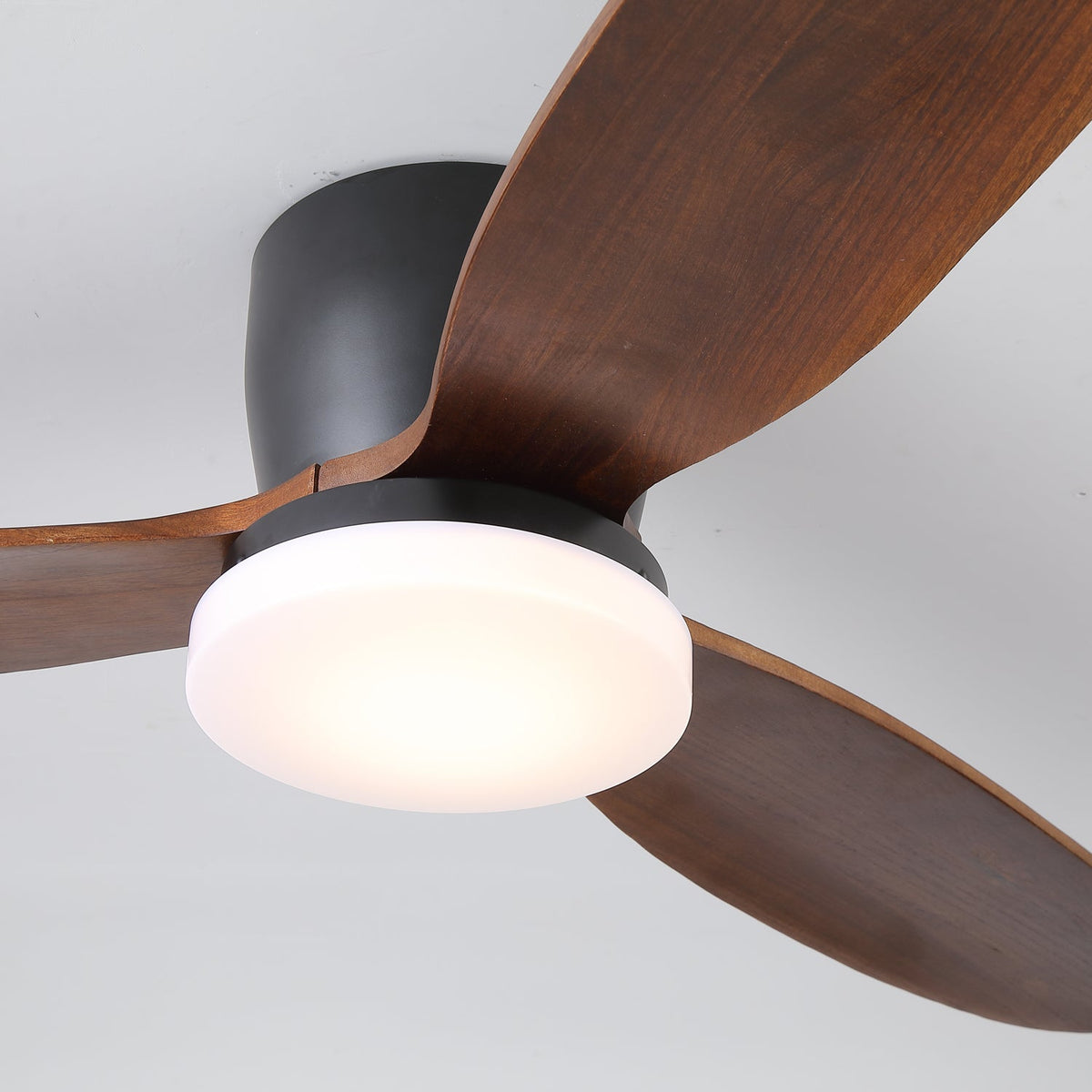 Evenlor Ceiling Fan Light