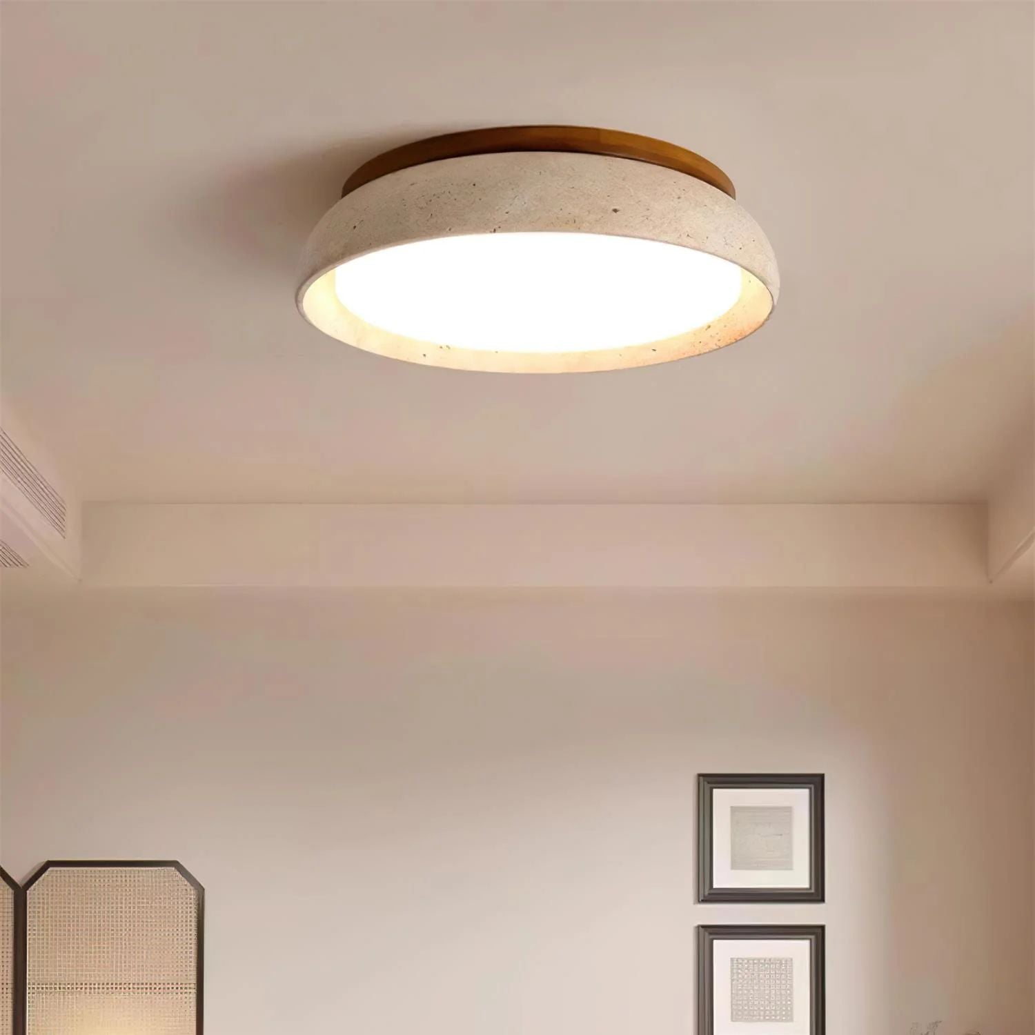Demoreya Ceiling Light