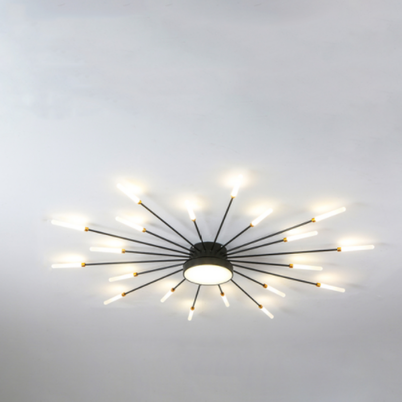 Doveio Modern Ceiling Light
