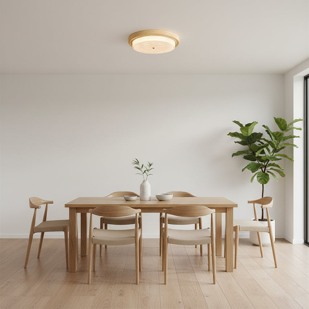 Finmo Ceiling Light