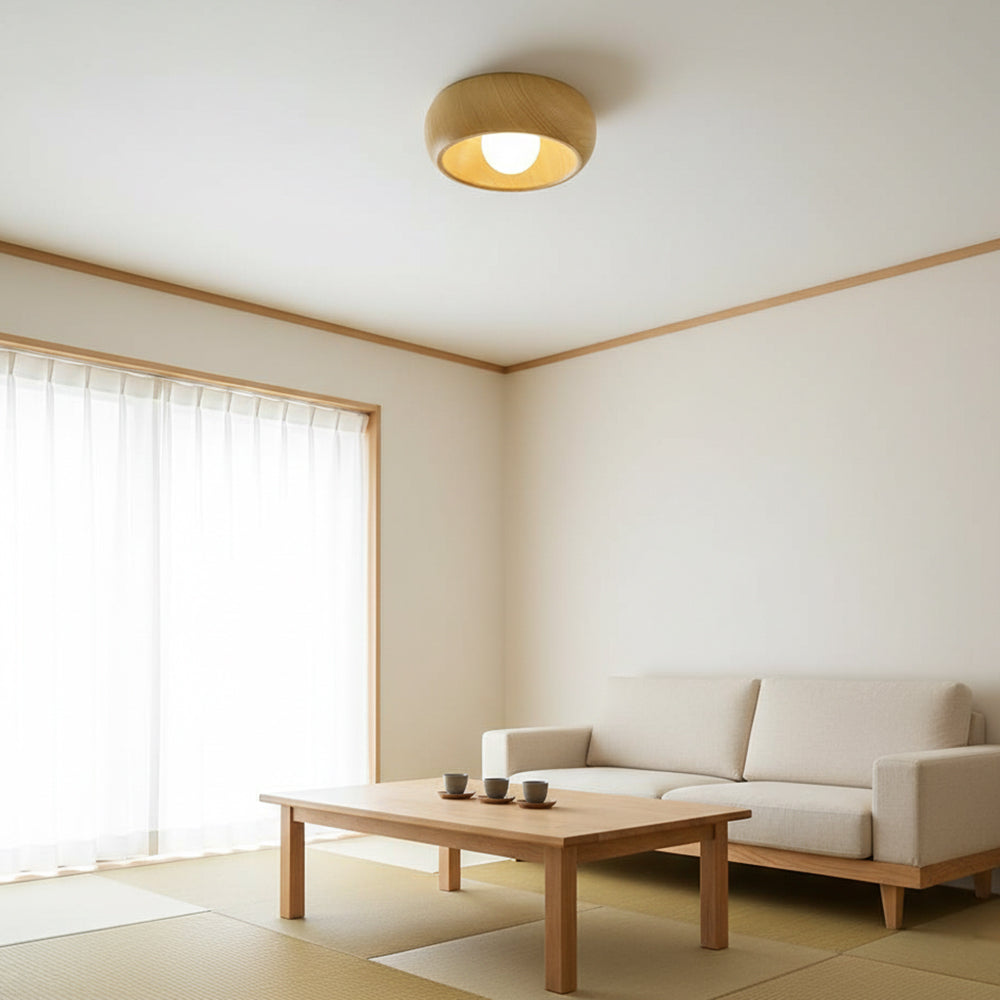 Sollynum Ceiling Light