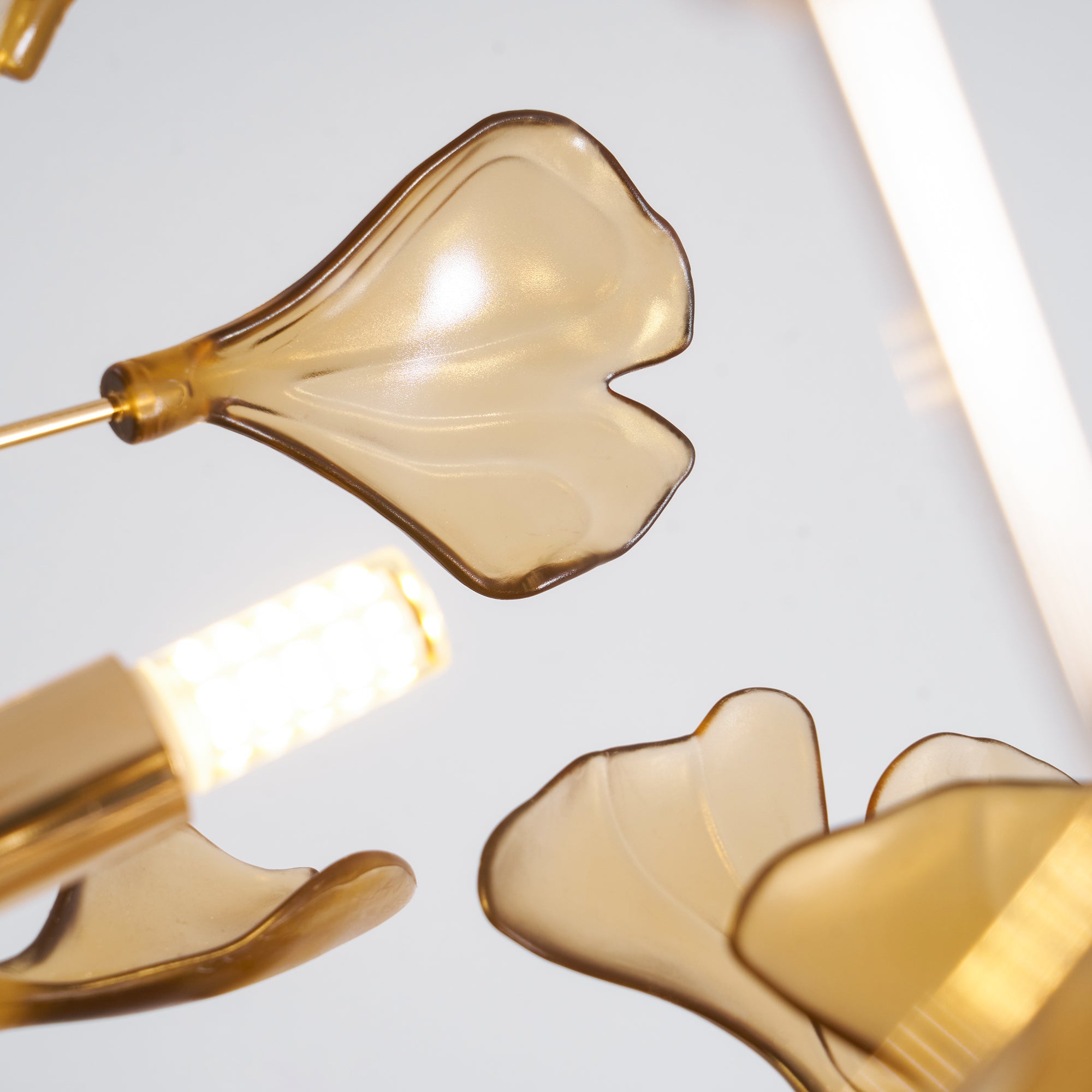 Paxario Chandelier