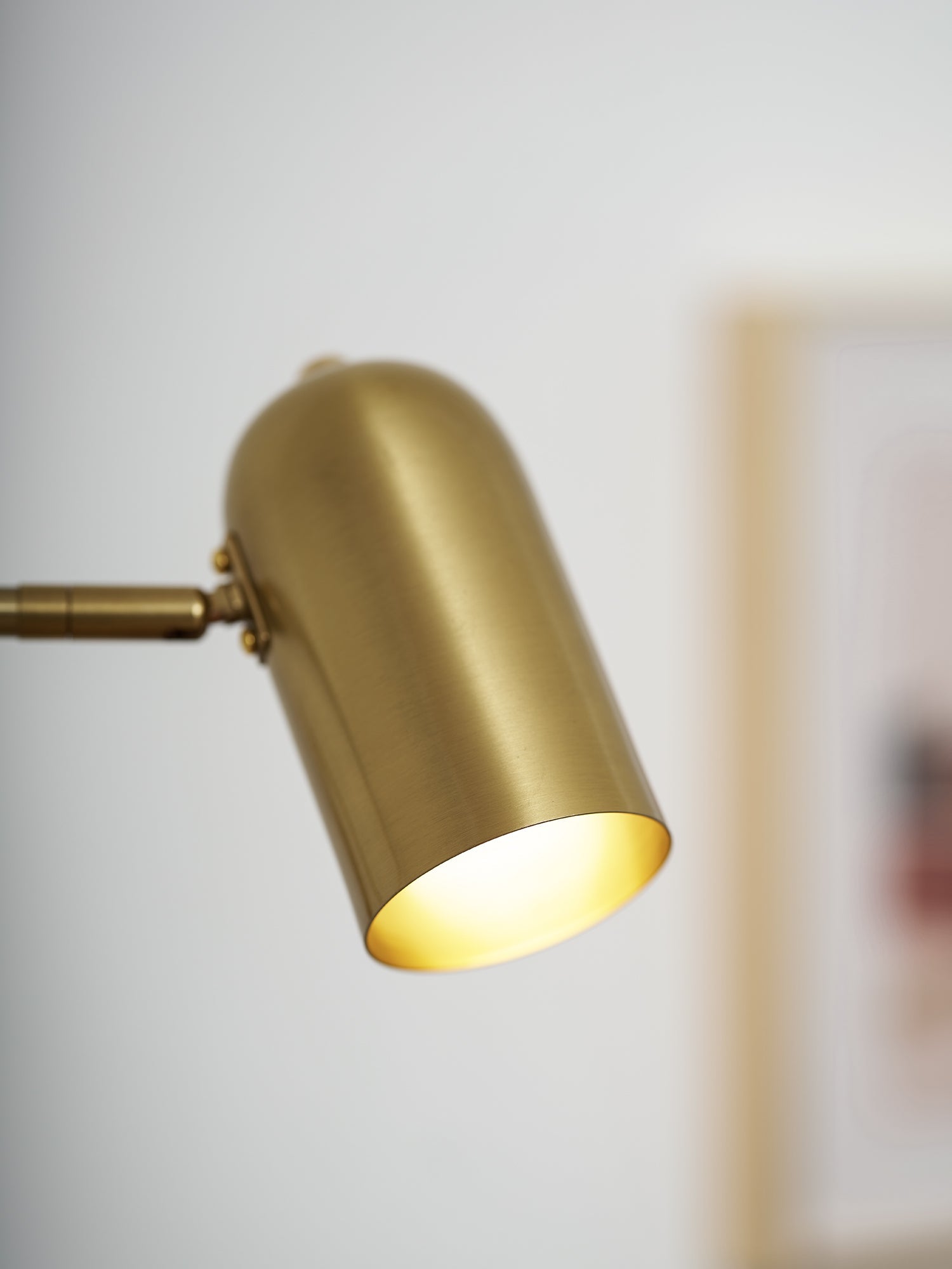 Paxdenko Adjustable Wall Light