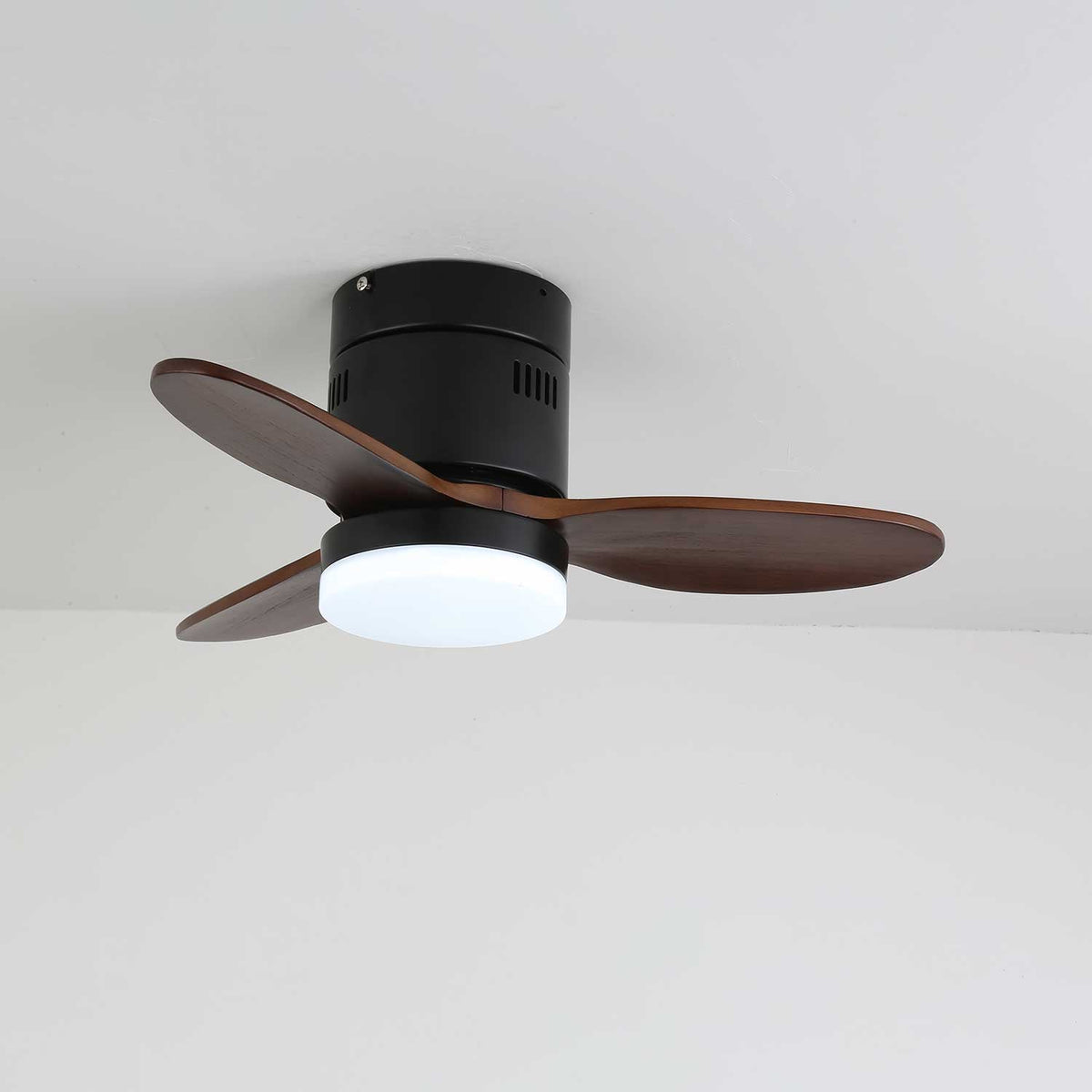 Viroayan Ceiling Fan Light