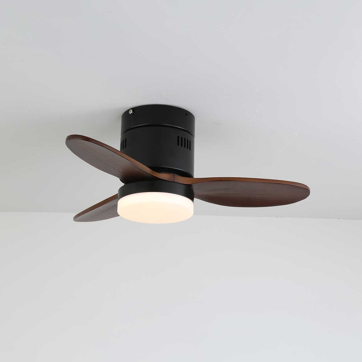 Viroayan Ceiling Fan Light