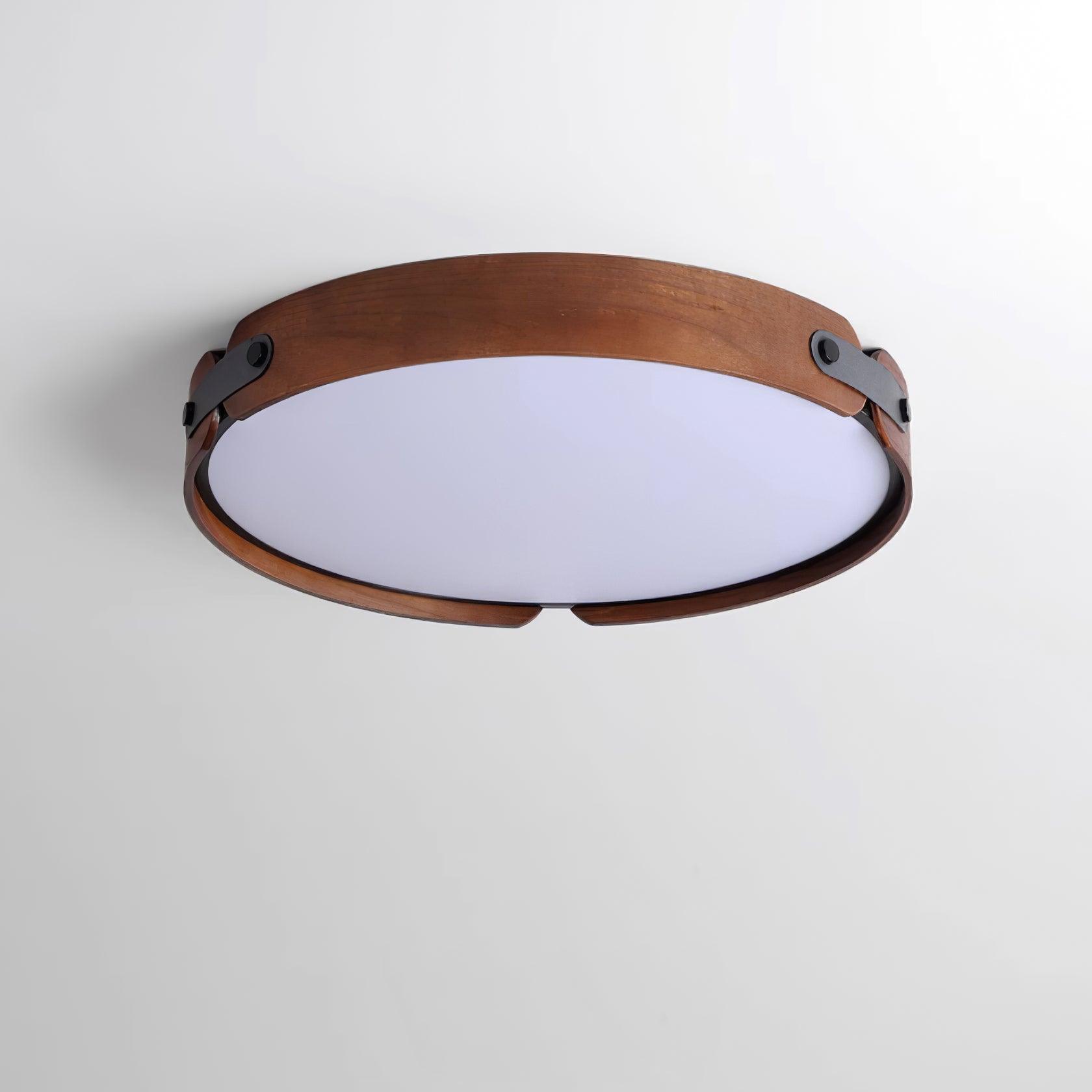 Renlenor Ceiling Light