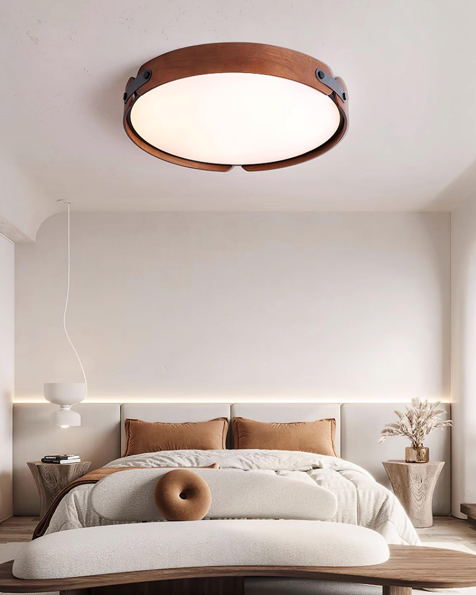 Renlenor Ceiling Light