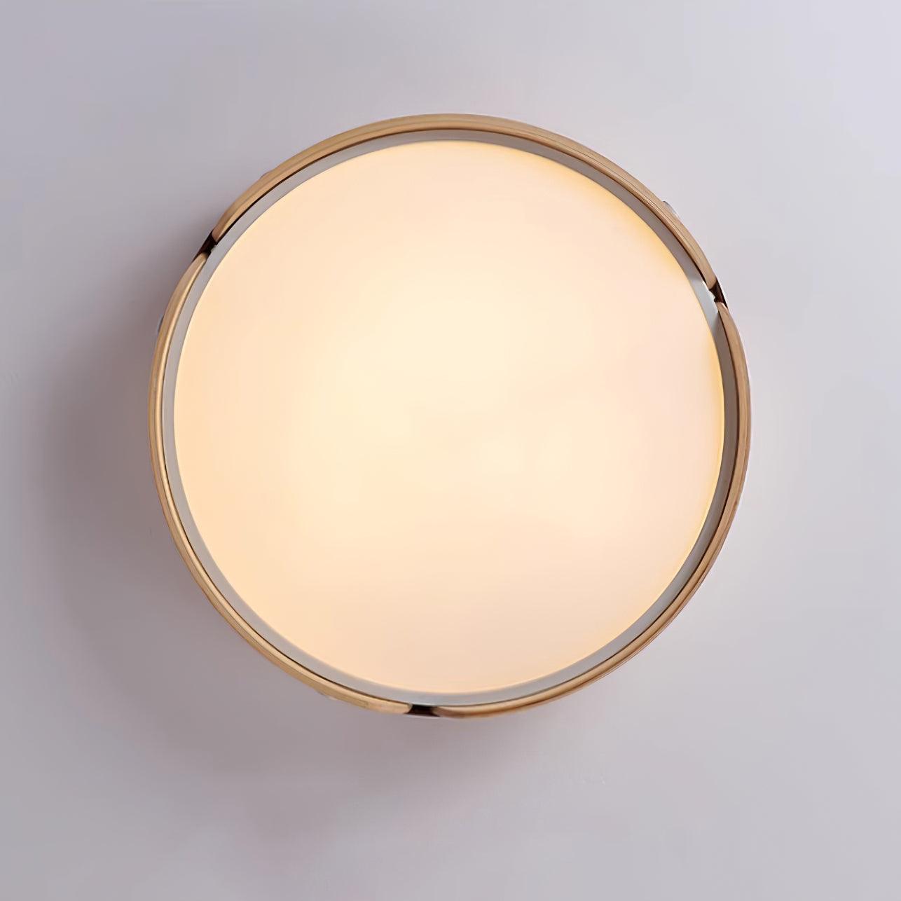 Renlenor Ceiling Light