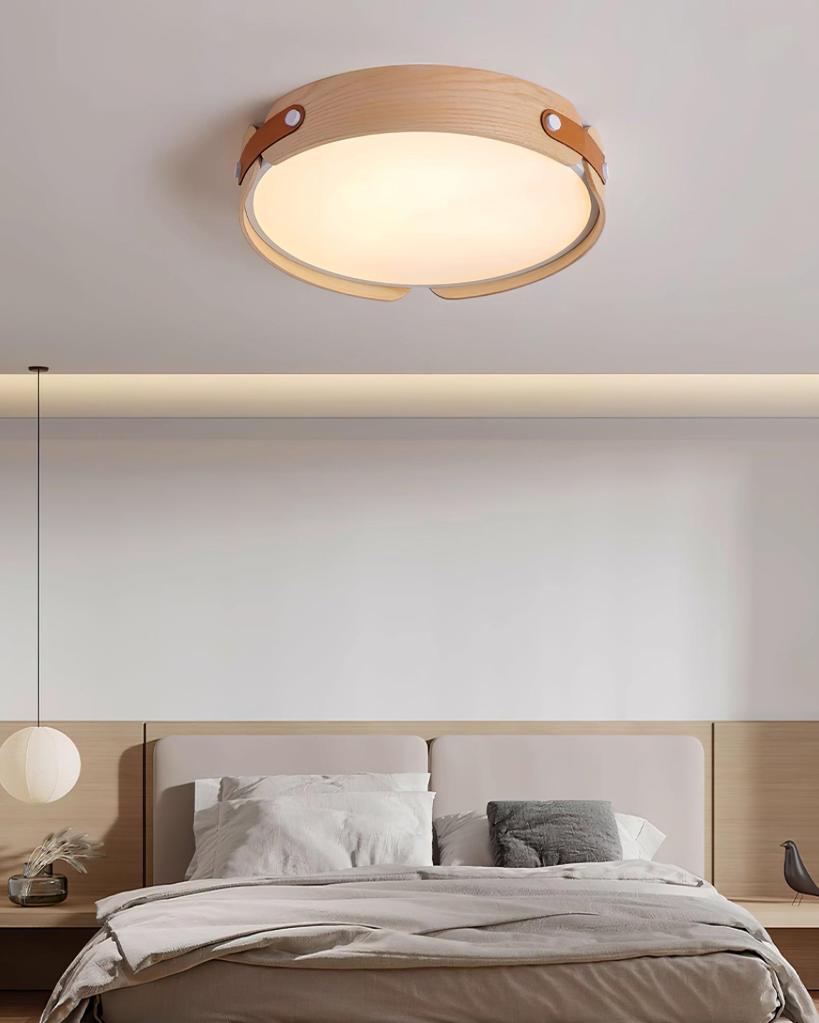 Renlenor Ceiling Light