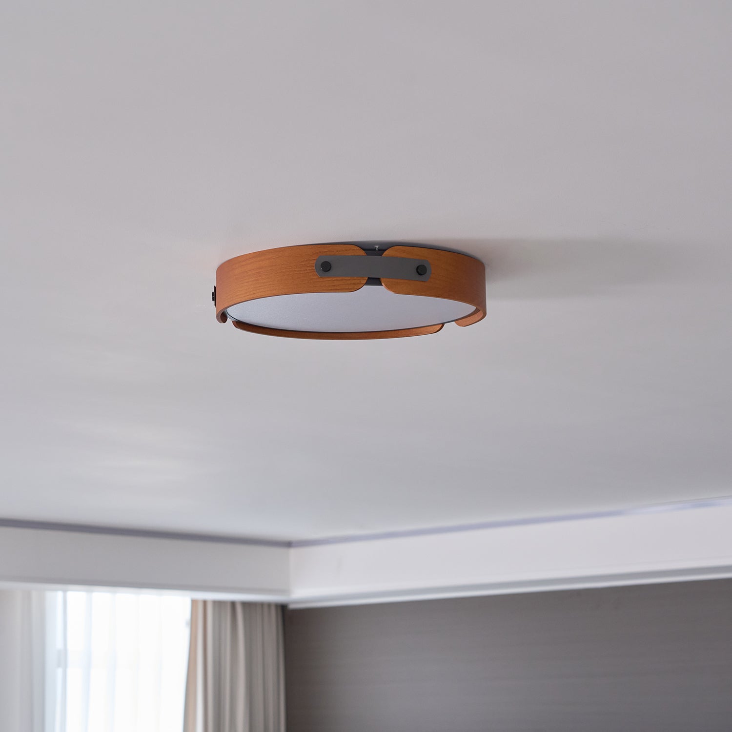Renlenor Ceiling Light