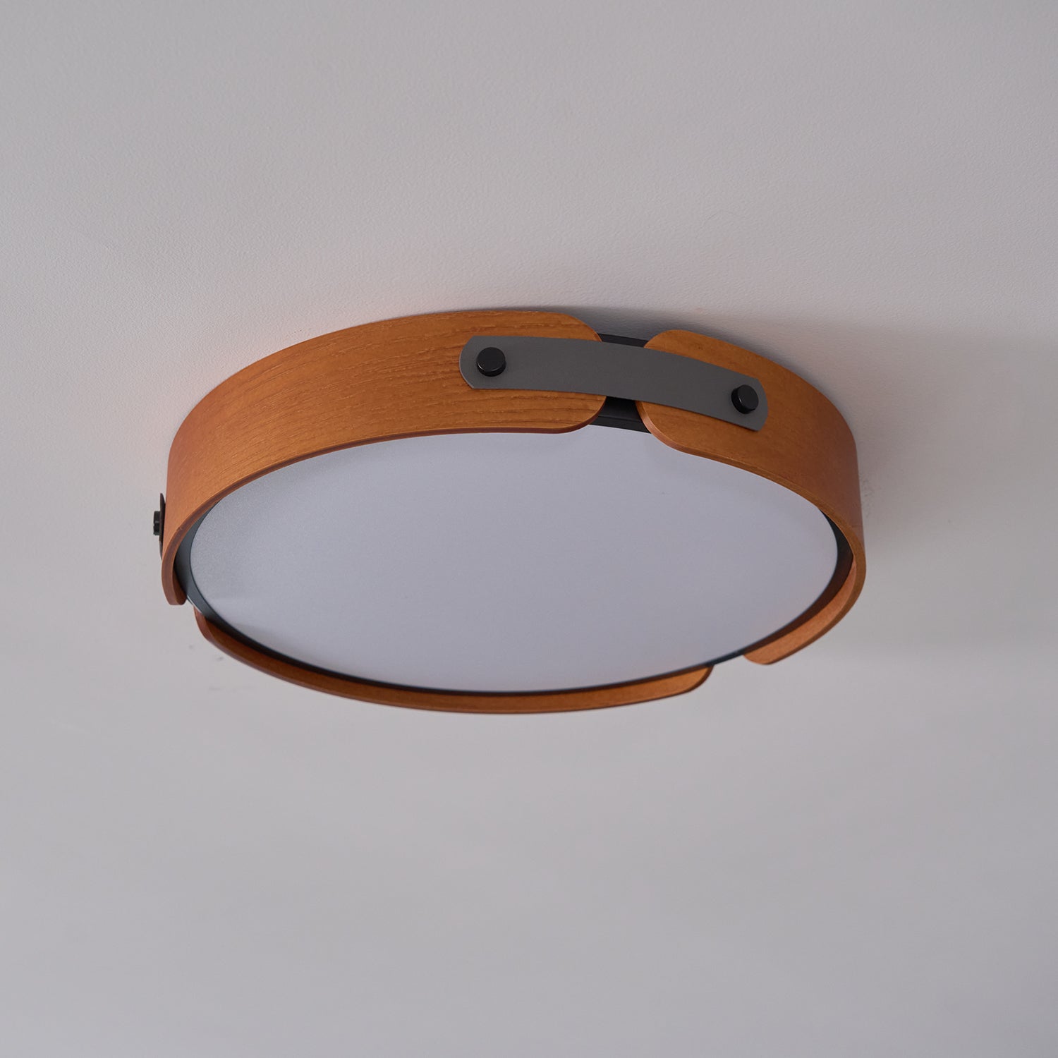 Renlenor Ceiling Light