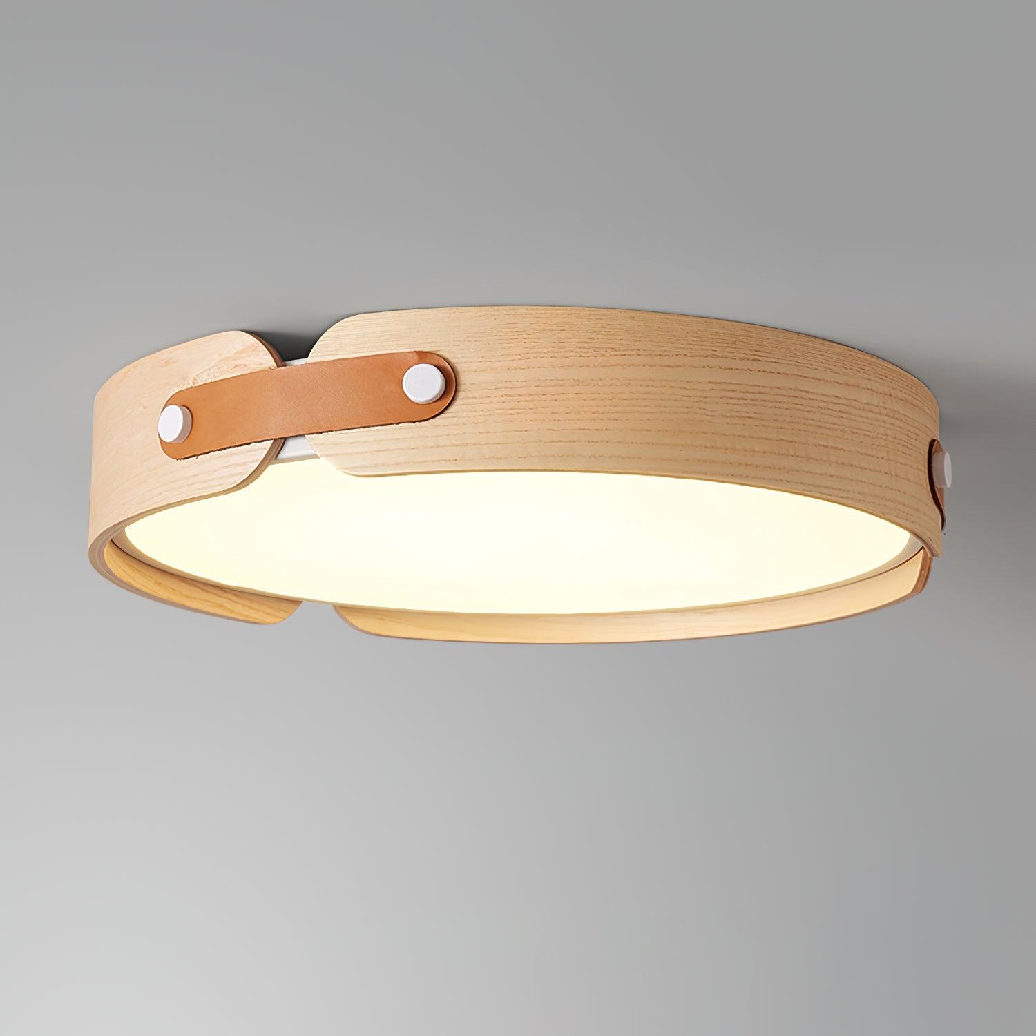 Renlenor Ceiling Light